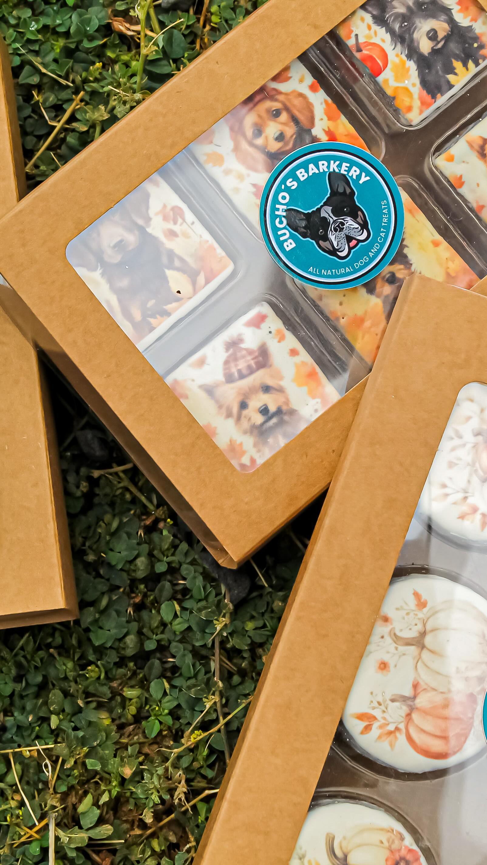 Behind the scenes at Bucho’s Barkery… where every treat has a little Halloween magic! ✨🦴