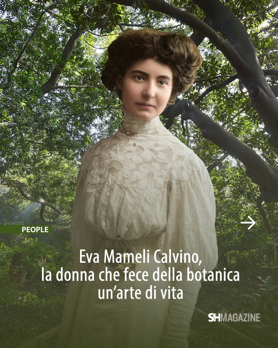 🌿 Pioniera, scienziata, madre. Eva Mameli Calvino fu tutto questo e molto di più.
Prima donna italiana a ottenere la libera docenza in Scienze Naturali, dedicò la vita alla ricerca e all’amore per la natura, trasformando la botanica in un’autentica arte di vita. 🌺
🌸 Dalla Sardegna a Cuba fino a Sanremo, il suo sguardo curioso unì rigore scientifico e poesia portando in Italia nuove specie come il kiwi e il pompelmo. 🥝🍊
Nel suo Orto Botanico di Cagliari e nella casa di Villa Meridiana a Sanremo, coltivò non solo fiori, ma anche quella sensibilità verso il mondo naturale che avrebbe ispirato il figlio Italo Calvino. ✨
Oggi la sua straordinaria storia rivive in un docufilm che ne celebra la passione e il coraggio, restituendoci il ritratto di una donna capace di far fiorire la scienza. 🌼
Scopri di più nell’articolo di Raffaella Piras su SHmag.it 🌿 🌿 Pioniera, scienziata, madre. Eva Mameli Calvino fu tutto questo e molto di più.
Prima donna italiana a ottenere la libera docenza in Scienze Naturali, dedicò la vita alla ricerca e all’amore per la natura, trasformando la botanica in un’autentica arte di vita. 🌺
🌸 Dalla Sardegna a Cuba fino a Sanremo, il suo sguardo curioso unì rigore scientifico e poesia portando in Italia nuove specie come il kiwi e il pompelmo. 🥝🍊
Nel suo Orto Botanico di Cagliari e nella casa di Villa Meridiana a Sanremo, coltivò non solo fiori, ma anche quella sensibilità verso il mondo naturale che avrebbe ispirato il figlio Italo Calvino. ✨
Oggi la sua straordinaria storia rivive in un docufilm che ne celebra la passione e il coraggio, restituendoci il ritratto di una donna capace di far fiorire la scienza. 🌼
Scopri di più nell’articolo di Raffaella Piras su SHmag.it 🌿