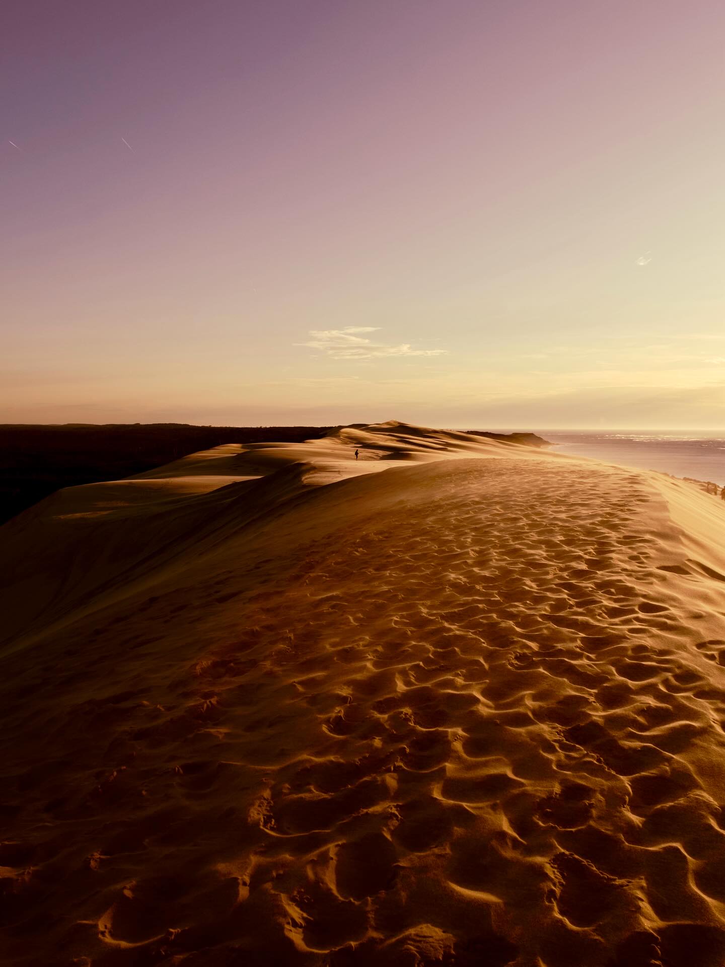 Le solitaire
#dunedupillat #nouvelleaquitaine #sunset #sand #coucherdesoleil #sable #paysage #landscape #landscapephotographer #landscapephotography #laoujevais #voyage #photodevoyage #travelphoto #travelphotography #travelphotographer