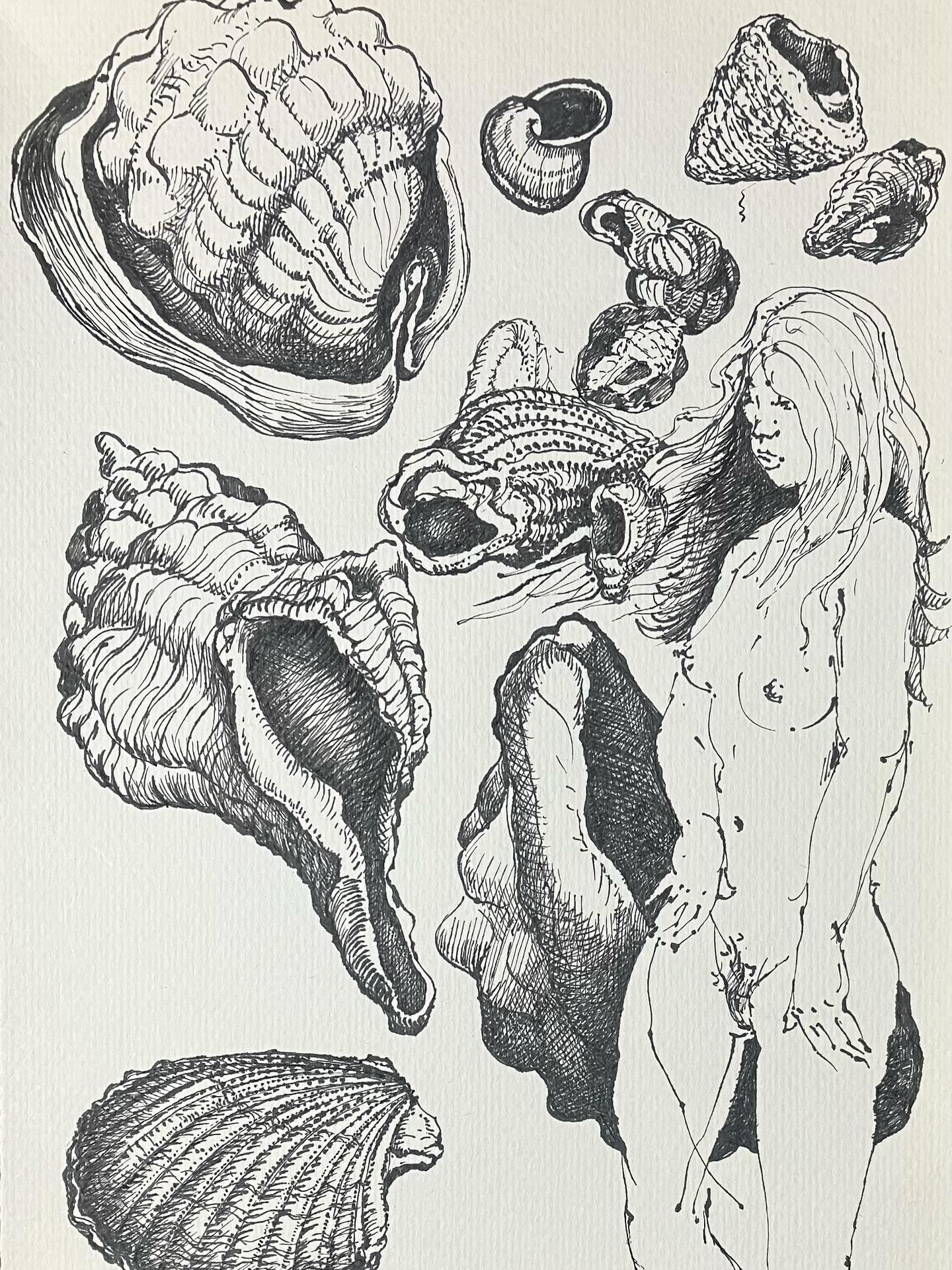 “Schelpenmeisje” (Et Dieu crea la femme), pentekening, 2025. #lifedrawing #seashells #insectsartprints #erosandthanatos #printmaking #etching #figuredrawing #classicdrawing #malefigureprints #blackandwhitedrawing #engraving #largeetching #penandink #quickstudies #malenudedrawings #portraitdrawings #landscapedrawing #seascapedrawings #beachscenesart #selfportrait #fromlifeonly #stopusingphotographs #botanicalprints