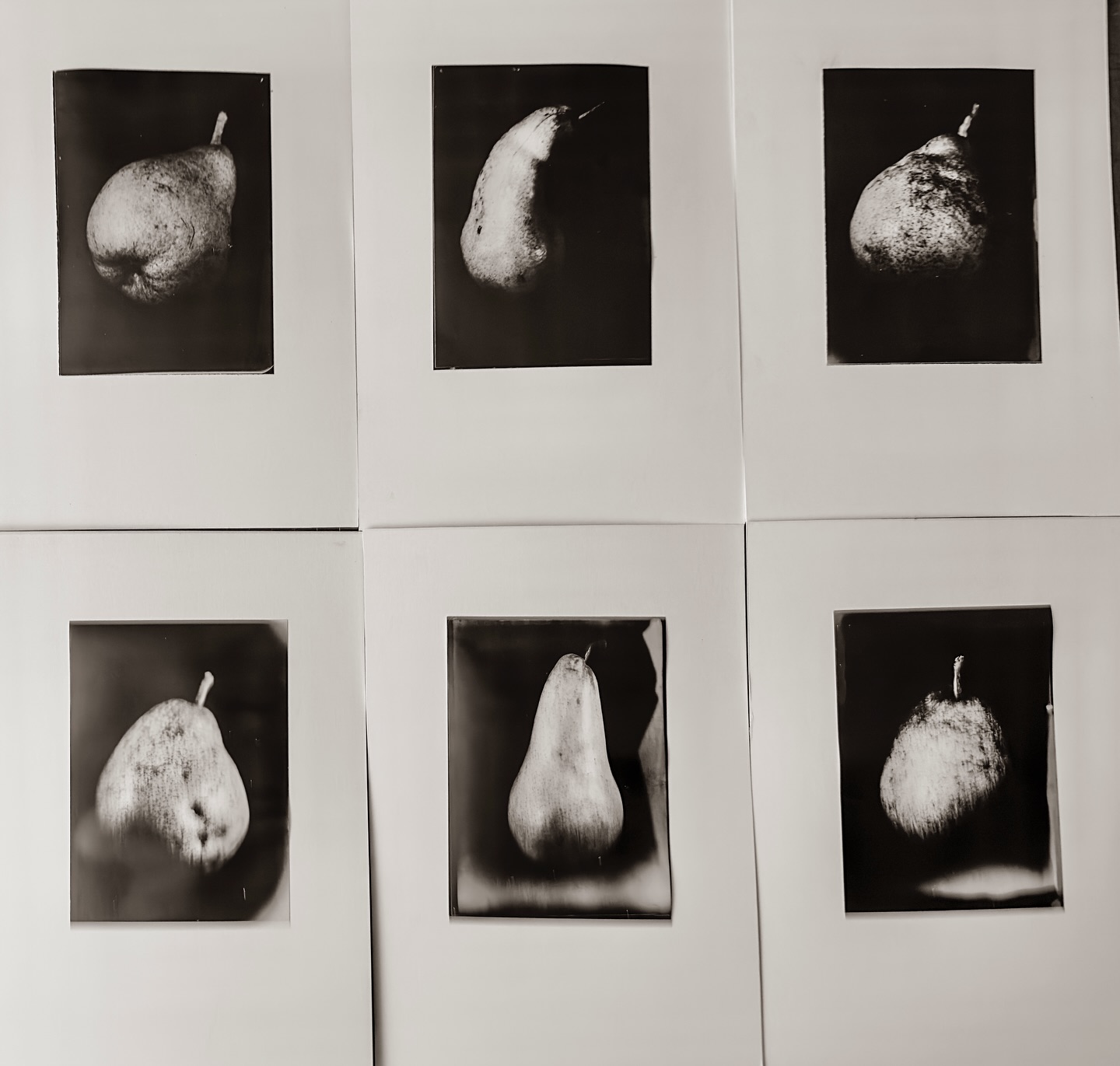 #lith prints onto old Ilford Plastika paper. #pears and #waterfall s from #ingleton #ingletonfalls #xrayfilm negatives exposed in 1900s #largeformat Houghton Victo #fieldcamera #moerscheasylith mounted onto A4 mount board using vintage drymount tissue