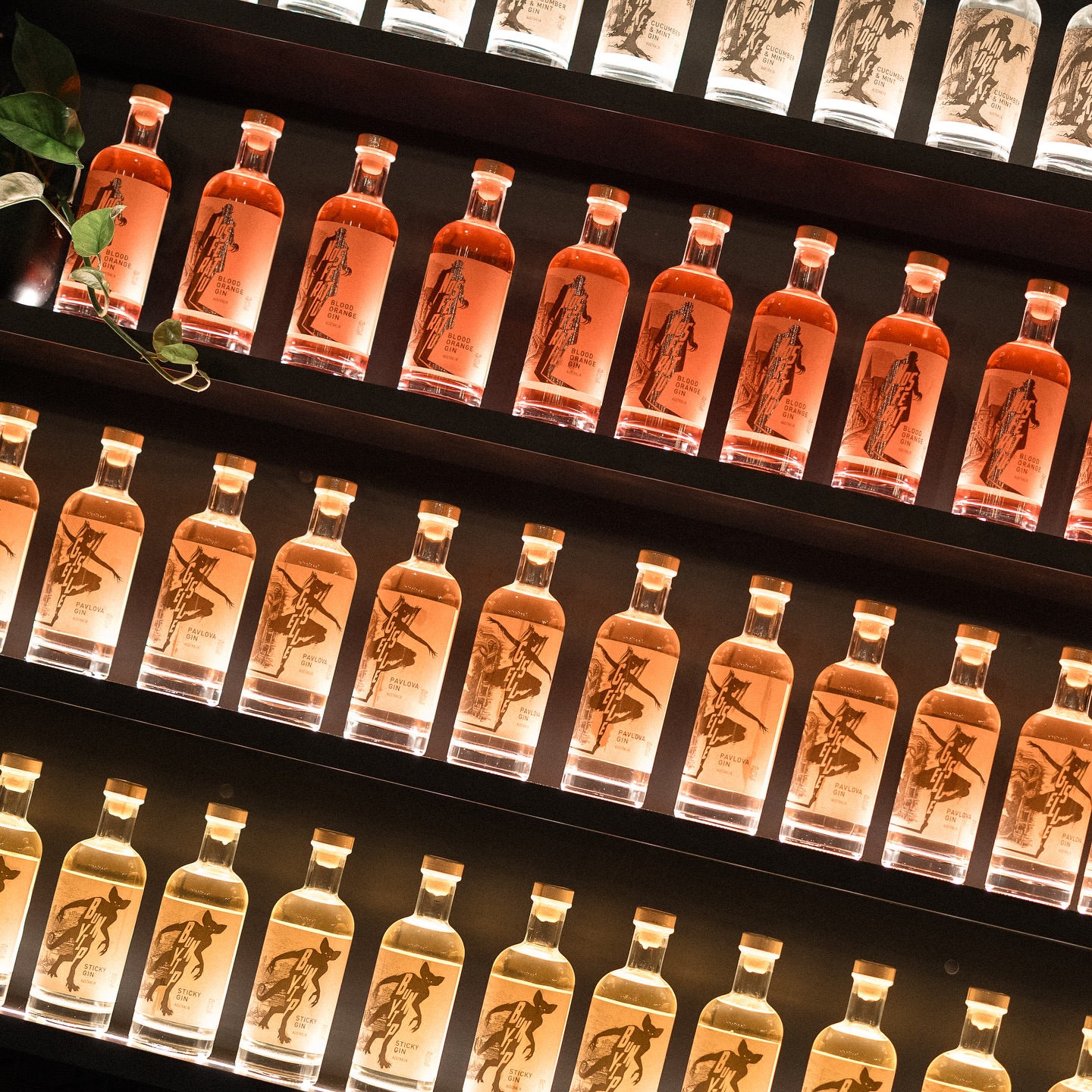 Open from 1pm today for Saturday tasting sessions, cocktails and great food. Bookings in bio!
📸 @alixduboisphotography