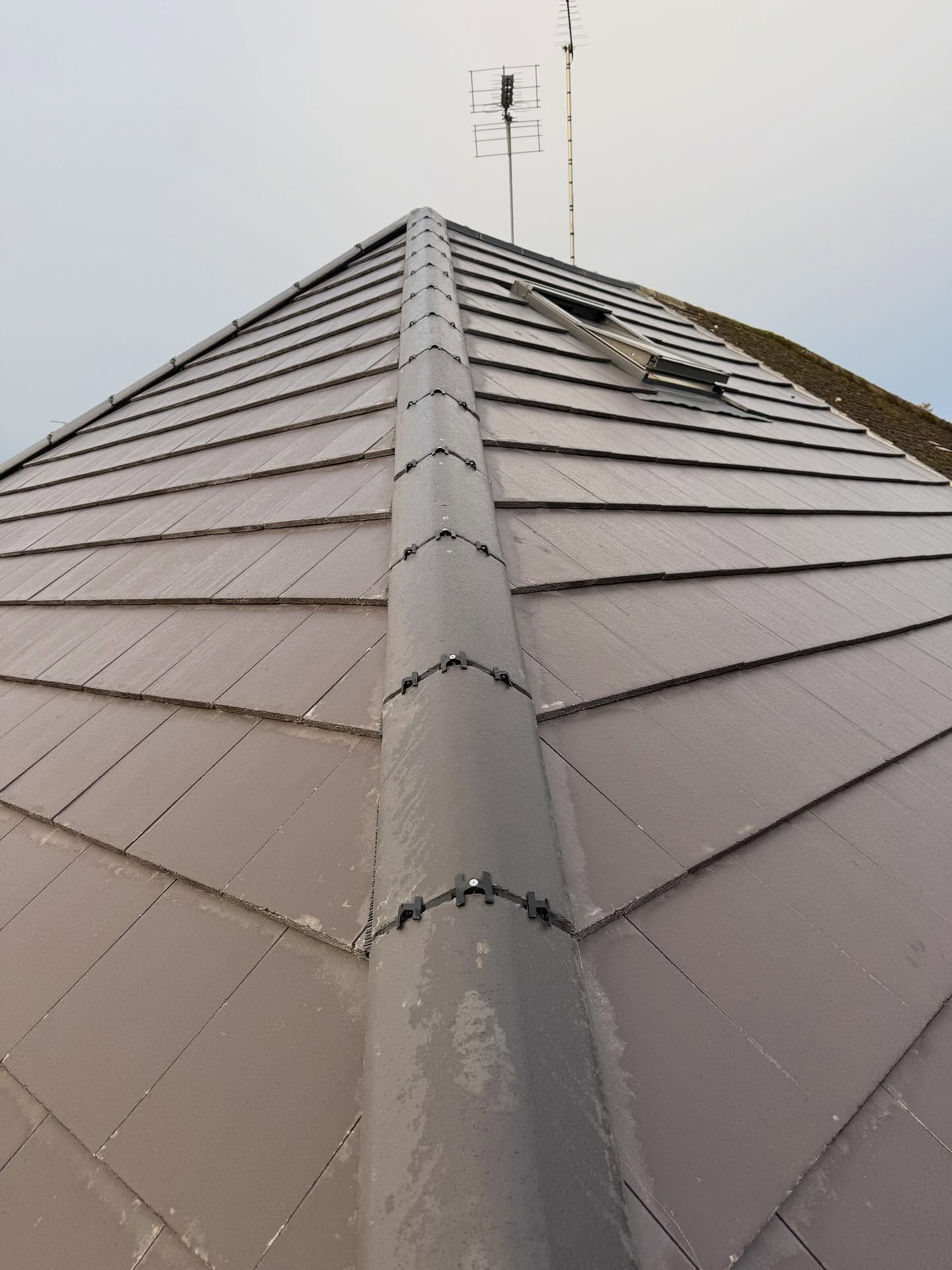 Roofing services for all the family