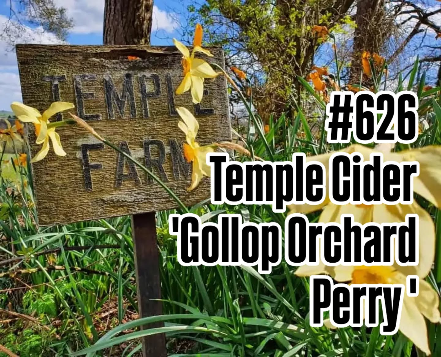 Another bottle from West Dorset. This one is a Perry.
Follow the link in the bio to visit the YouTube tasting channel.
#dorset #dorsetperry #vintageperry #sparklingperry #100percentjuice #wildyeast #petnat #cider #hardcider #blendedperry #youtubevideo #youtubereaction #youtubetasting #youtubereview #foodanddrink #perrypears #perryproducers #perryreview #perry #perryisalive