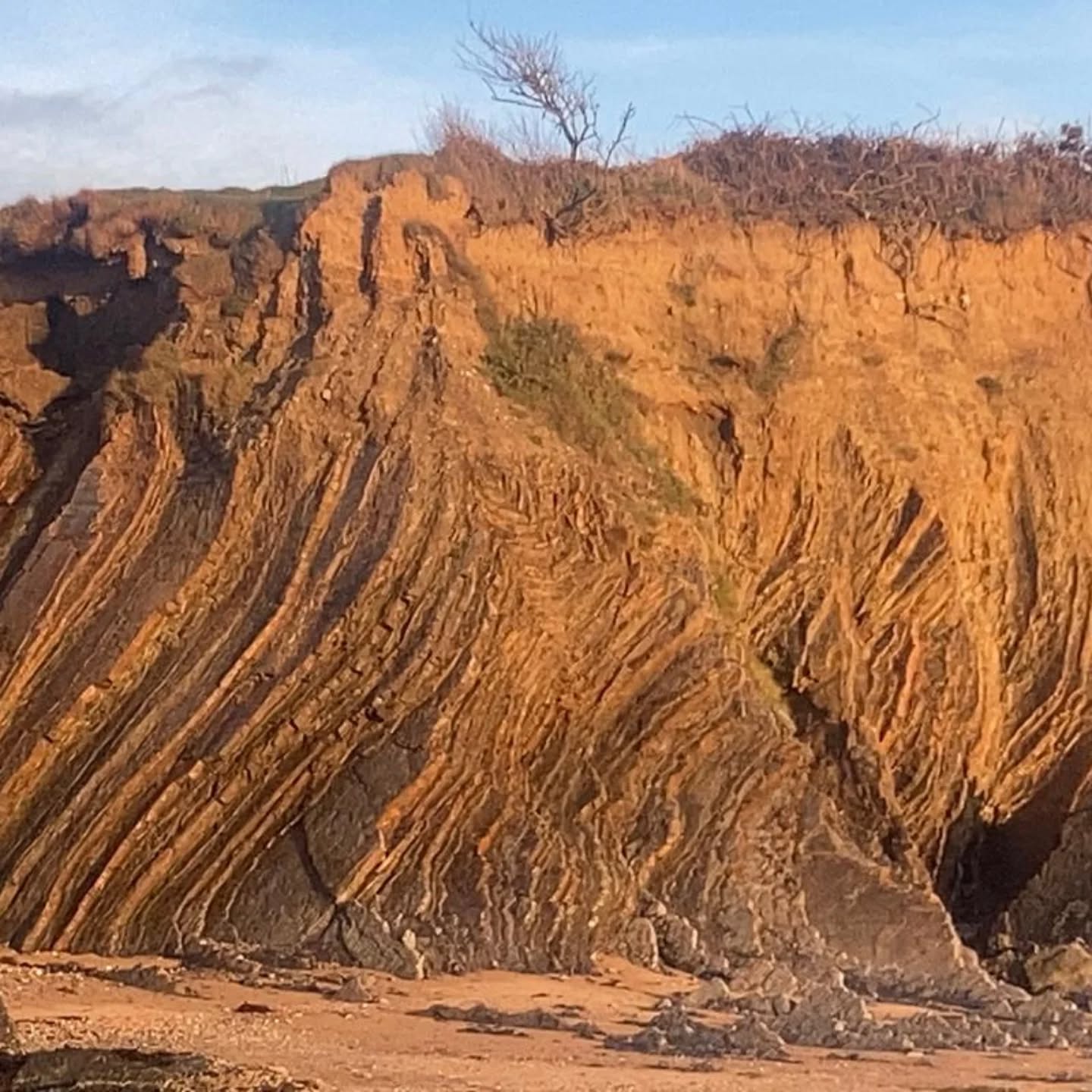 One of the last unit's surveyed, by Mick Berry, Booley Bay on the Hook Peninsula, Co. Wexford with the setting sun. Thanks to everyone who joined our survey this Autumn, your time & efforts are much appreciated. Be sure to upload data today so it can be included in our analysis & results for 2025 @irishwildlifetrust @marielouiseheffernan @gordon_leonard @w.i.l.dlife @streamscapes.ie @theenvforum @maharees_conservation @galwaycountybiodiversity @galwayaquarium @achilloutdooreducation @iker.arenzana.king