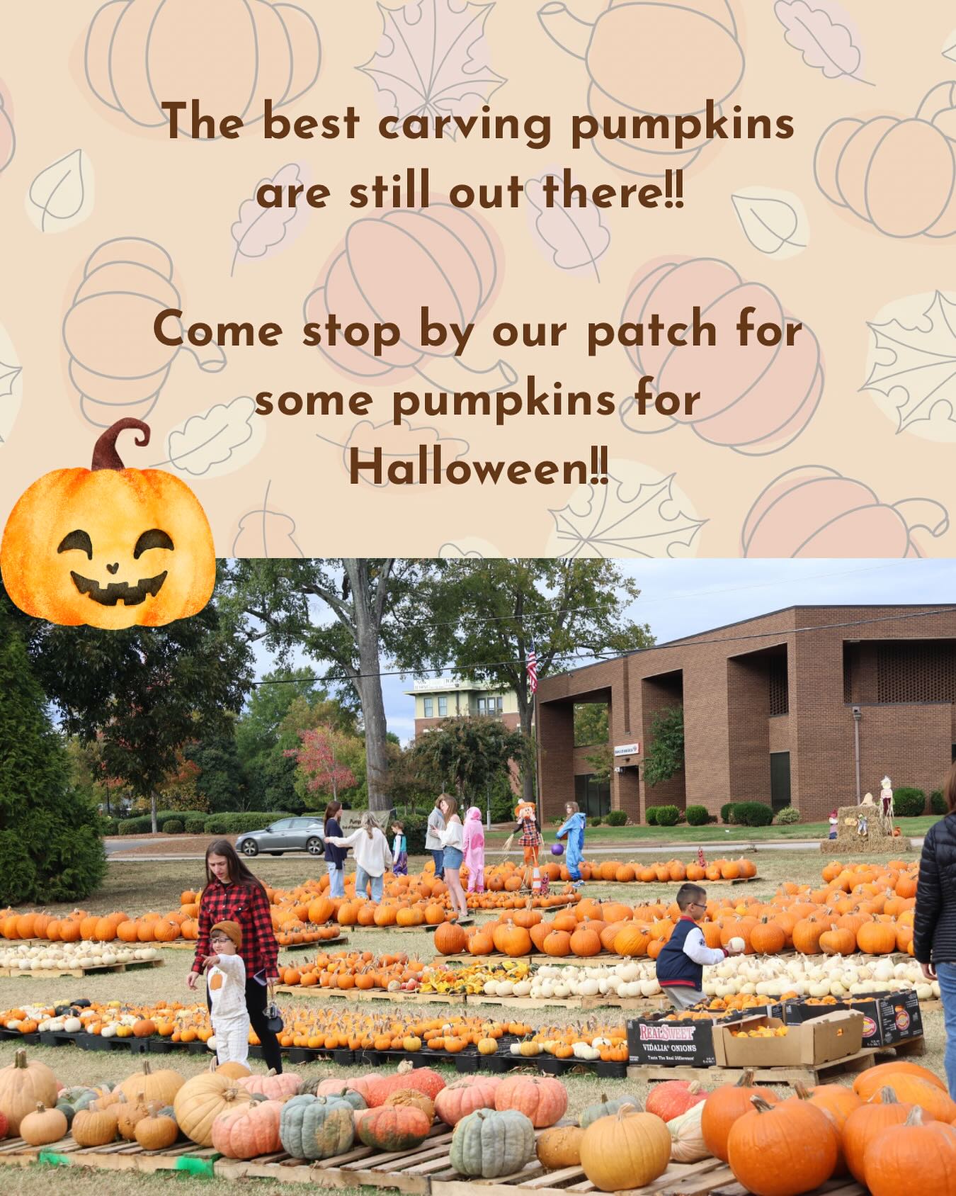 🎃 Get your perfect carving pumpkin before Halloween! 🎃
Our church pumpkin patch still has amazing pumpkins ready for your spooky and silly creations but they’re going fast! 👻
Stop by before Friday to grab yours and support our church’s ministries while you’re at it. Every pumpkin helps us spread love and light in our community. ❤️
📍 St. John’s Pumpkin Patch
📅 last day is Friday, October 31st
⏰ 11:00am-7:00pm
Come find your perfect pumpkin before they’re gone! 🎃✨
#PumpkinPatch #HalloweenFun #CarvingPumpkins #CommunityLove