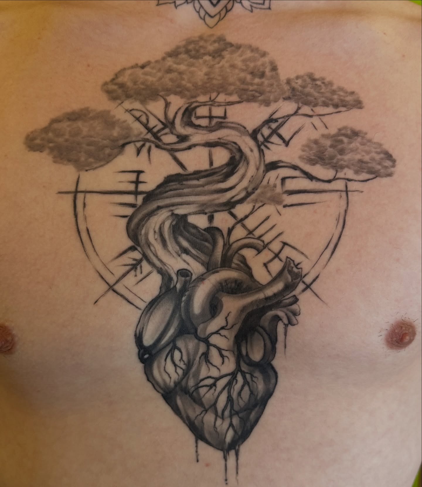 🖤🌳
⠀
- Full Progress -
⠀
healed → fresh → stencil
⠀
#skullroxx #skullroxxstudios #tattoodüsseldorf