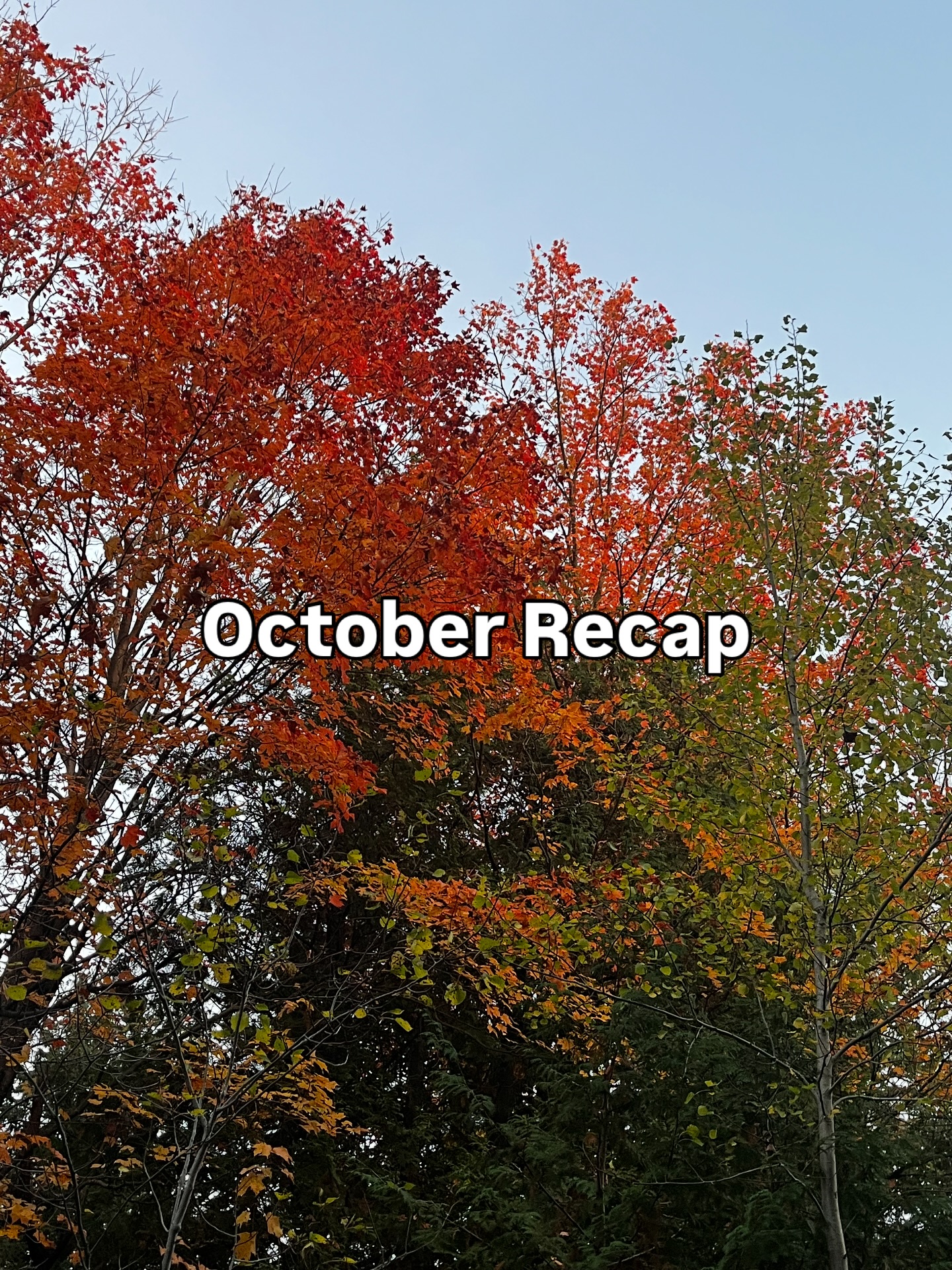 October was a pretty great month 😊