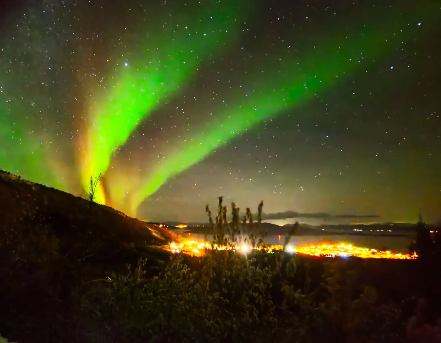 📷 Csilla Bányai @ungarsk_kvinne_i_norge