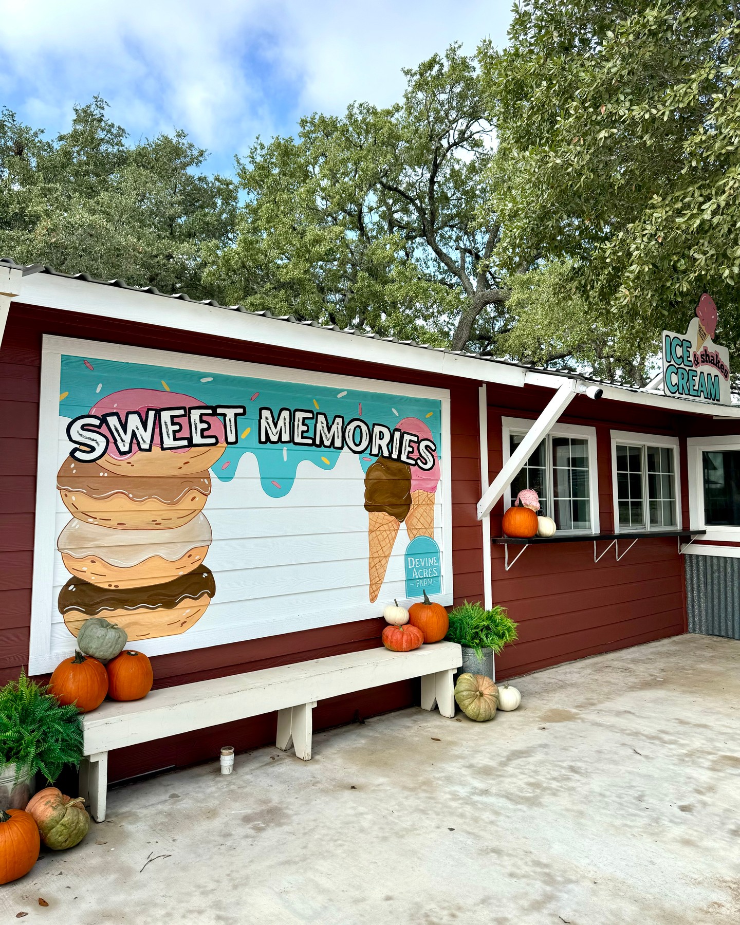 Let the sweet memory making begin!🎃🩵
12-6 today & tomorrow!