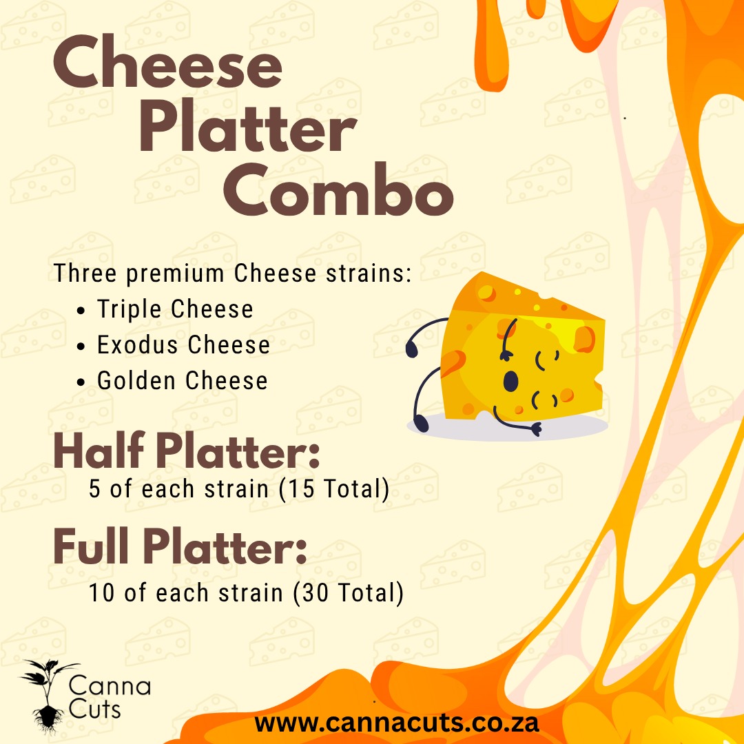 🧀 The Cheese Platter Combo is here! 🍃
Three legendary Cheese strains, perfectly curated for flavour, aroma, and balance:
• Triple Cheese – bold, creamy, heavy hitter
• Exodus Cheese – the classic tang and euphoric lift
• Golden Cheese – smooth, sweet, golden finish
Choose your portion:
🧩 Half Platter: 5 of each (15 total)
🧩 Full Platter: 10 of each (30 total)
Perfect for collectors who love variety and quality in every cut.
🔥 Fresh drop – limited availability!
💚 Available online at www.cannacuts.co.za
#CannaCuts #CheesePlatter #TripleCheese #ExodusCheese #GoldenCheese #CloneDrop #LimitedEdition #CannabisCollectors