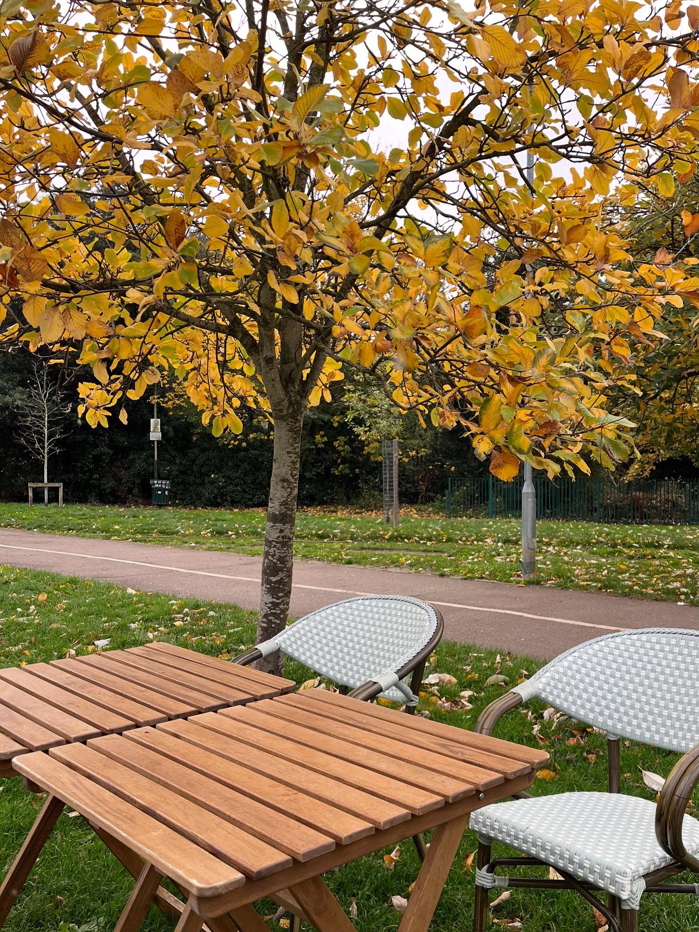 We’re all about embracing the beautiful outdoor space here on Cox’s Meadow, Cheltenham, so make the most of our lovely outdoor seating! 🍂
This area is perfect for dog walkers, or even just to get cosy under one of our blankets with a hot chocolate 🍫
#themeadowcafe #themeadowcafechelt #coxsmeadowcheltenham #outdoors #greenspace #localcafe #smallbusinessuk #cheltenhamfood #cheltenhamcoffee #hotchocolate