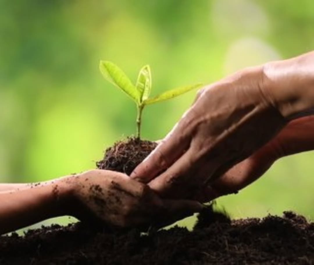 Together, We Root Hope and Grow Tomorrow
Treetrom Foundation is not just an organization, it is a living promise to the earth. We exist to rekindle the world’s love for nature, to inspire humanity to act with compassion, and to remind everyone that the smallest act of planting can shape the future.
Every forest began with one seed. Every movement began with one heart that cared. And every tomorrow begins with what we do today.
Together, we will root hope and grow tomorrow.
#TreetromFoundation #RootingHope #GrowingTomorrow #NatureTogether #GreenFuture