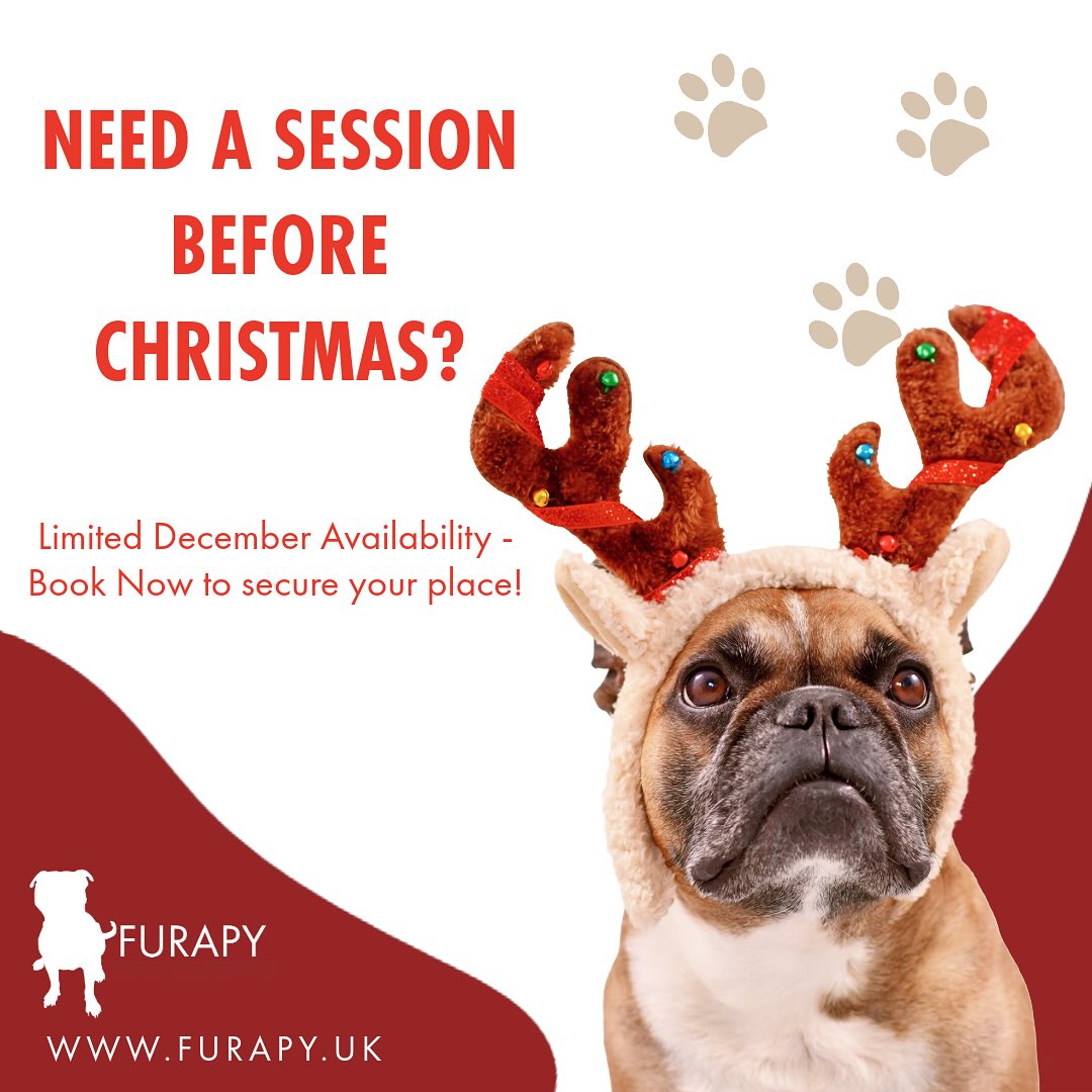 🎄Christmas appointments! 🎄
Are you planning on treating your dog to a physio treatment before the holidays?
It is a bit early to be discussing the “C” word BUT we have been very busy these last few months!
Many of you have been amazingly organised and booked ahead but just a warning that we now have a very limited amount of slots left in December to book, so do contact us and book in to avoid any disappointments! 🎄
📞 07702082602
🌍 www.furapy.uk
📧 info@furapy.uk