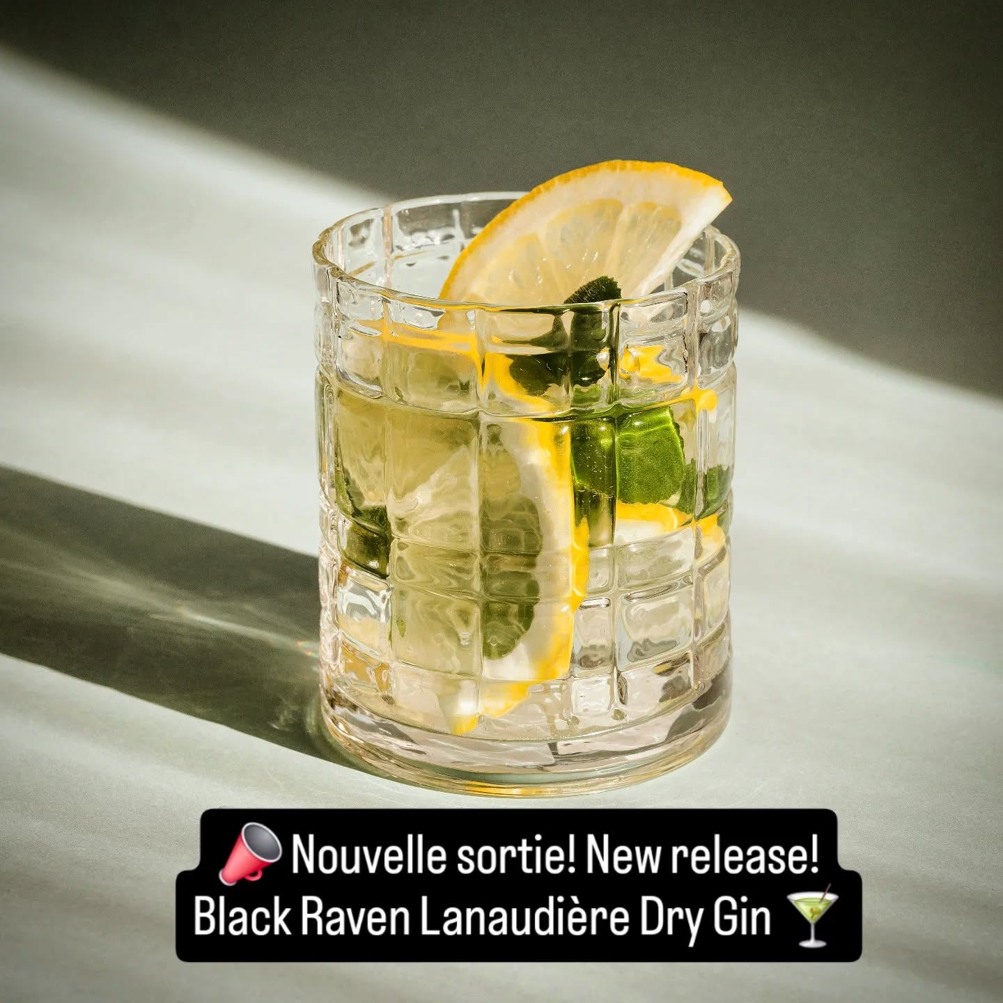 📣 Nouvelle sortie! New release! Black Raven Lanaudière Dry Gin 🍸
Élaboré à partir d’une recette patrimoniale, ce gin combine des citrons de Nonna et des graines de coriandre cultivés à Lanoraie, ainsi que des baies de genièvre, dans un assemblage minutieux de botaniques. | Developed from a heritage recipe, this gin blends Nonna’s lemons and coriander seeds grown in Lanoraie, along with juniper berries, in a finely balanced botanical composition.
🔍 Pourquoi on l’adore | Why we love it:
• Une création locale authentique, enracinée dans le terroir de Lanaudière. | An authentic local creation, deeply rooted in the Lanaudière terroir.
• Une philosophie artisanale et unique : Nos spiritueux sont élaborés à partir de raisins cultivés exclusivement sur le vignoble du domaine CARONE. A unique artisanal philosophy: Our spirits are crafted from grapes grown exclusively on the CARONE estate vineyard.
• Parfait pour vos cocktails, vos soirées entre amis… ou pour savourer un moment de pur plaisir. | Perfect for your cocktails, gatherings with friends… or simply to enjoy a moment of pure pleasure.
👉 Disponible dès maintenant en ligne ou en pickup à Lanoraie. | Available now online or for pickup in Lanoraie.
#BlackRavenGin