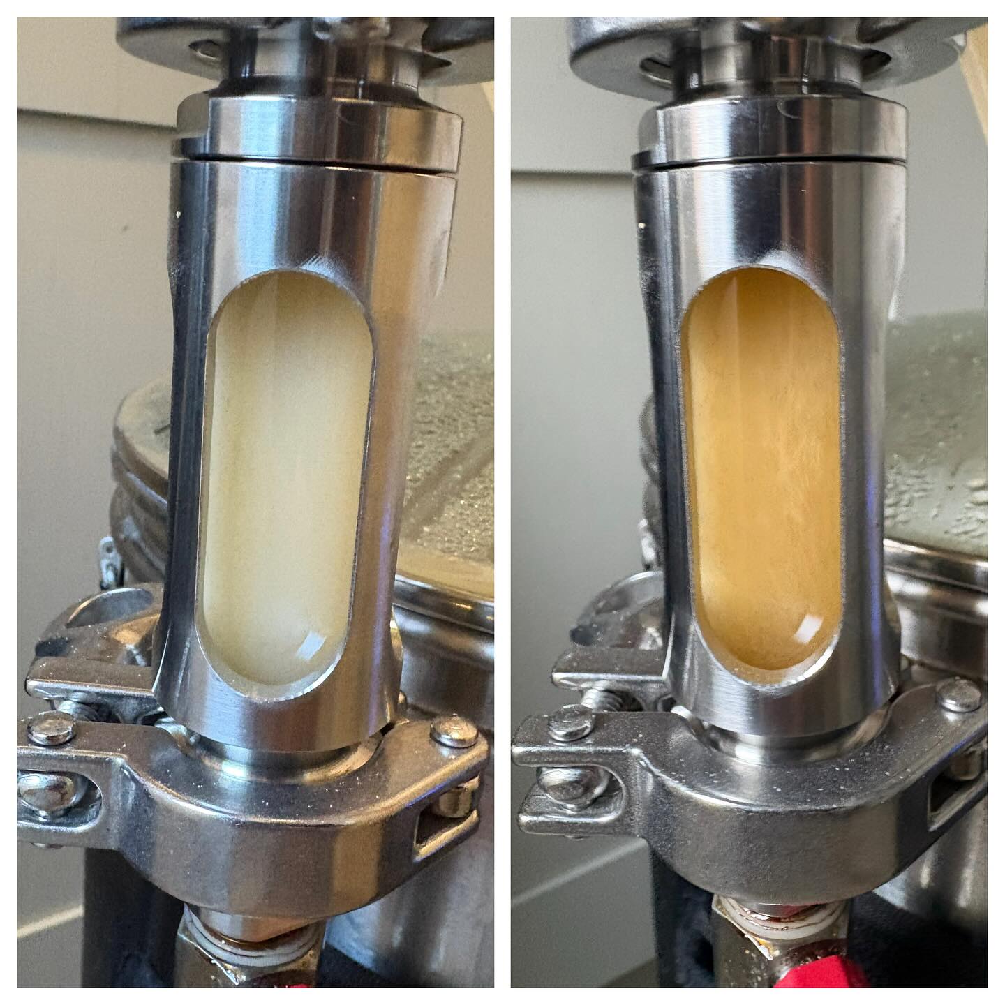 No matter how many times I brew, I do love watching the colour change during mashing.