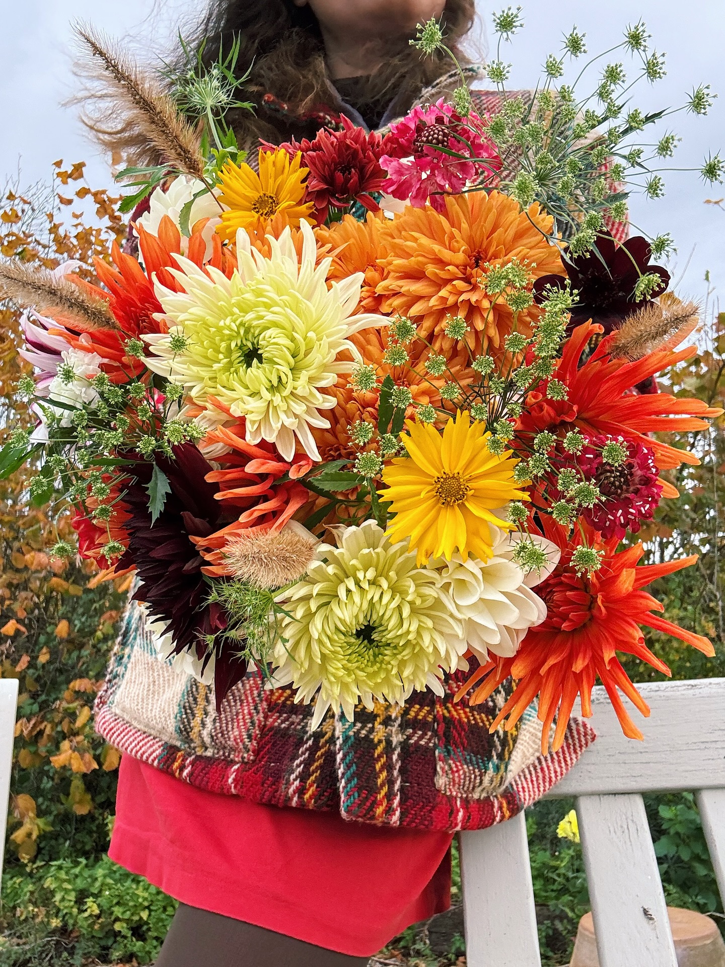 Firework bouquets to remember the 5th of November
Cactus dahlias, chrysanthemums, scabious, ammi & fir
Boxed with ribbon & delivered across South Norfolk
Late blooms holding on
#seasonalflowers #localflowers #sustainableflowers #florist #southnorfolk #cottagegarden #bouquet #giveflowers #wymondham #attleborough #carletonrode #blooms #fireworks