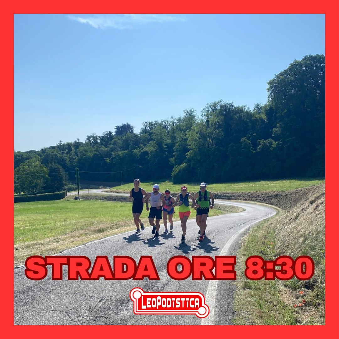 DOMANI MATTINA IL GRUPPO STRADA C’È!!!
⚠️PARTENZA ORE 8:30⚠️
Partenza dal Bar Gelateria Bassi in Piazza a Faenza alle ore 8:30 (otto e trenta).
Allenamento collinare di corsa su strada, passo tranquillo.
Per informazioni: @leonardocallini 3398854372.
Allenamenti autogestiti in autosufficienza. Ogni partecipante è responsabile di se stesso, del proprio stato di salute e delle proprie capacità di affrontare il percorso. Le strade sono aperte al traffico, è obbligatorio rispettare il codice della strada. L’organizzazione declina qualsiasi responsabilità su persone e cose.