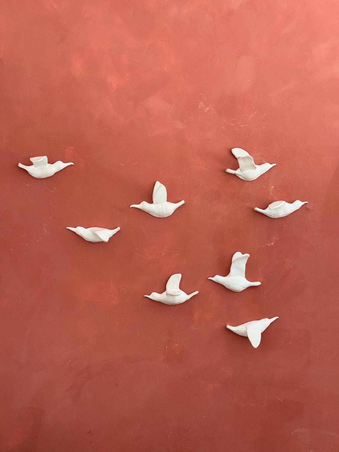 Já vos mostrei as ilhas vistas do mar, as montanhas e escarpas imponentes. O ilhéu de topo, a Poça Simão Dias e as flores maravilhosas que habitam naquelas ilhas.
Só falta mostrar a dança dos cagarros que dão movimento às paisagens e preenchem o silêncio de conversas e namoros que não têm fim.
Os cagarros acompanharam-nos muito tempo durante a viagem. Quando parávamos nos portos conseguíamos vê-los e assistir às suas conversas nas “suas casas”. Pareciam autênticas reuniões de família. Pais e filhos na conversa.
Foi maravilhoso e por isso eles não poderiam faltar nesta exposição.
.
.
“AZOREAN DREAM, Entre o gesto e a paisagem” @romanticultura @casino.azores
.
De 27 Setembro a 11 de Janeiro 2026
.
SOLD OUT
.
.
.
#mariacastelbrancoceramic #handamade #homedecor #inspiration #oneofakind #azoreandream #exhibition #contemporaryceramics #contemporaryart #tiles #azoreandream @anacristina.baptista.pt #flowers @vaniarebelopaim #nasceagua @quintadanasceagua #terceira #ilheudetopo #saojorge #açores