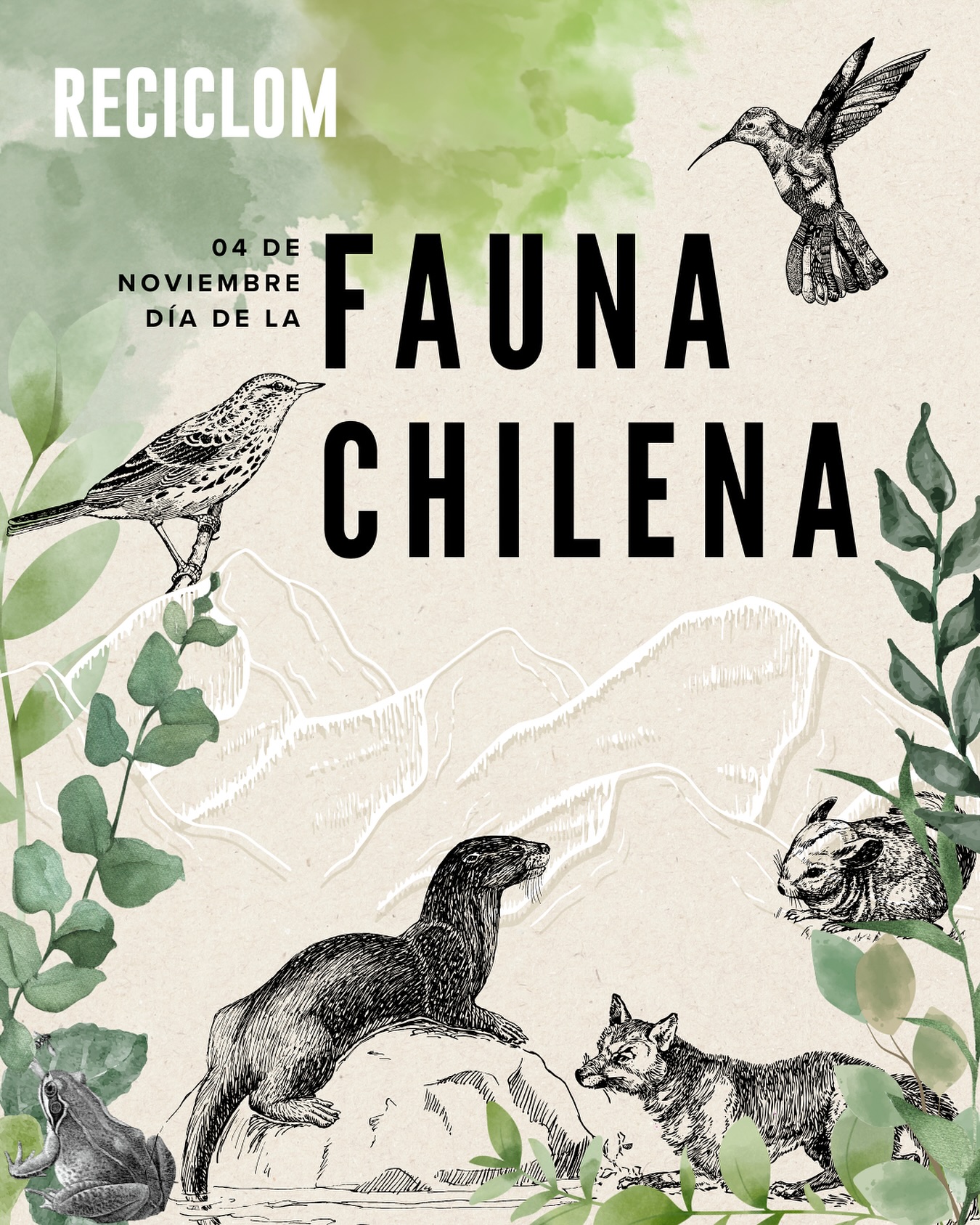 🐾 El Día de la Fauna Chilena 🇨🇱 Busca reconocer, proteger, y valorar la increíble diversidad de especies que habitan nuestro país, muchas de ellas únicas en el mundo 🌎💚
Cada acción cuenta: cuidar el entorno, reducir los residuos y respetar los hábitats naturales es también una forma de proteger nuestra fauna 🌱
Porque conservar la vida silvestre es cuidar el equilibrio del planeta 🌍
#díadelafaunachilena #faunanativa #concienciaambiental #educacionambiental #protejamoslanaturaleza
