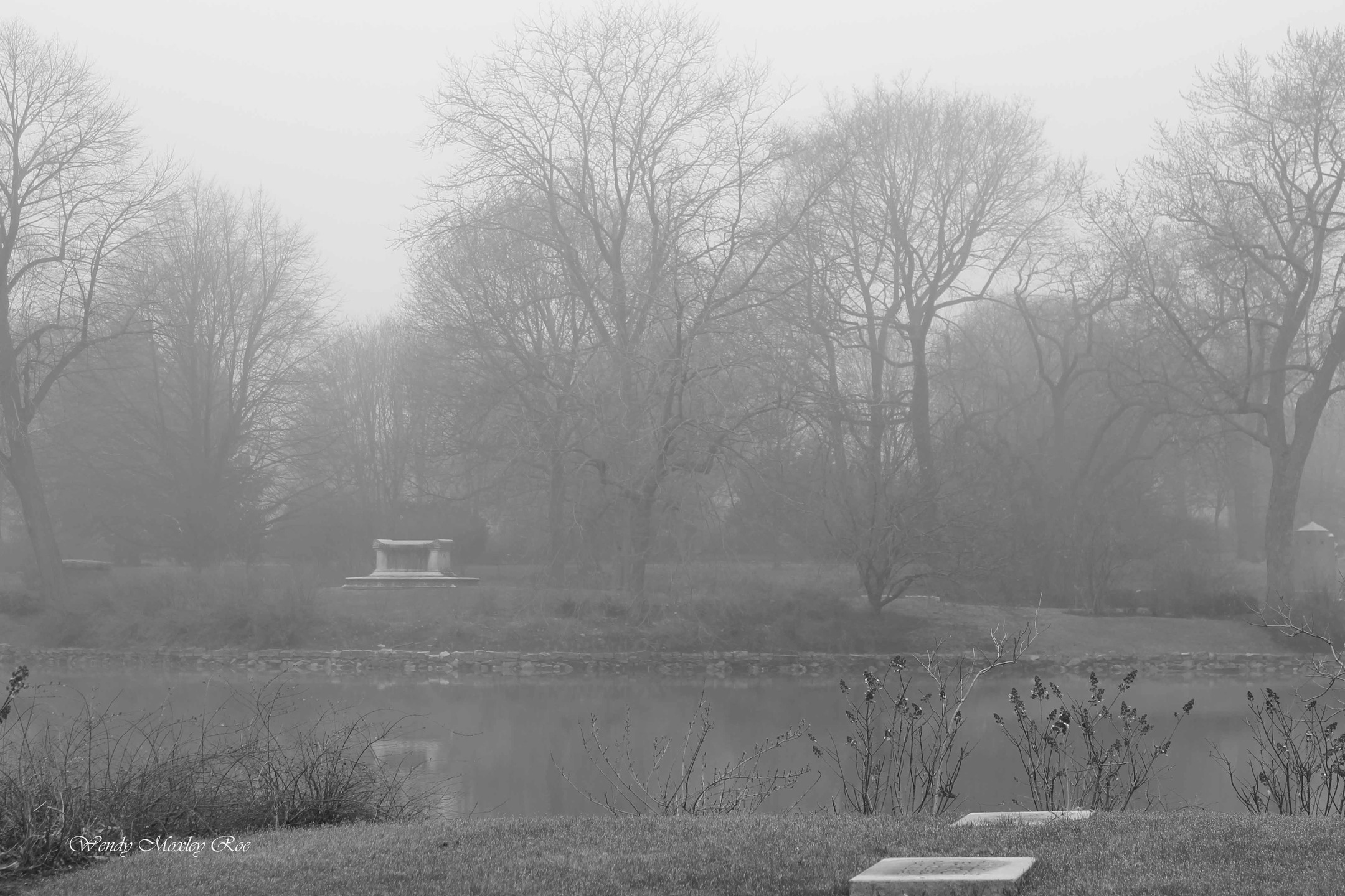 Foggy Morning across the pond at Graceland Cemetery, Chicago, IL
#cemetery_photography #cemeteryphotos #cemeteryscapes #cemeteryscene #cemeteryscenery #cemeterytravels #illinoiscemeteries #cemeterystatues #uniquememorials #chicagocemeteryphotography #chicagocemeterycrawlers #tombstonetravels #taphophile #gracelandcemetery #blackandwhitephotography #gracelandcemeteryphotography