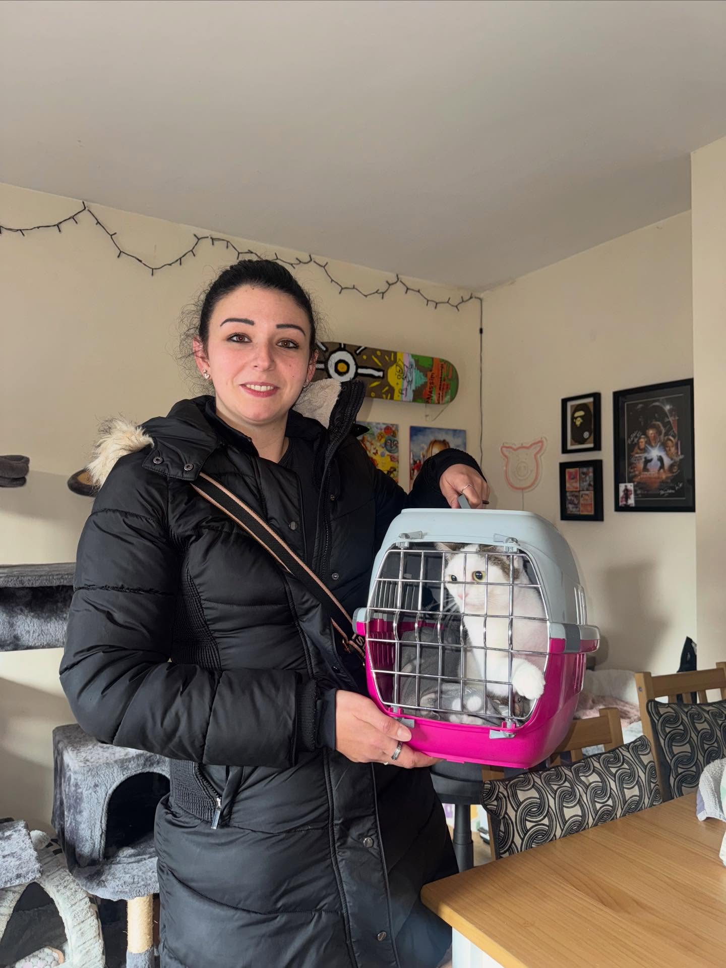 A day that I never thought would happen.. Maggie adoption day!
Such a bittersweet day as I adore this cat so much, and would’ve adopted her for sure if we had the space.
But she’s gone onto a wonderful home with 3 other kittens to keep her entertained as she’s a big bundle of energy who loves to play🥰
Happy new home day Maggie!!❤️❤️