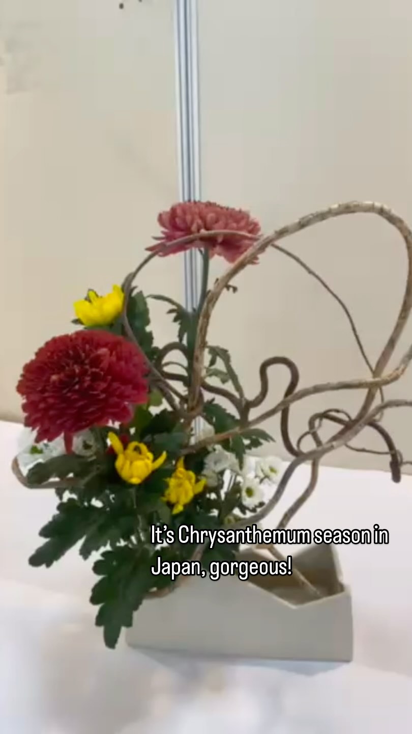 These are not the flowers we see at Lowe’s! #travelerapartners #travelblogger #aikensc #sovirtuoso #gtnonlocation