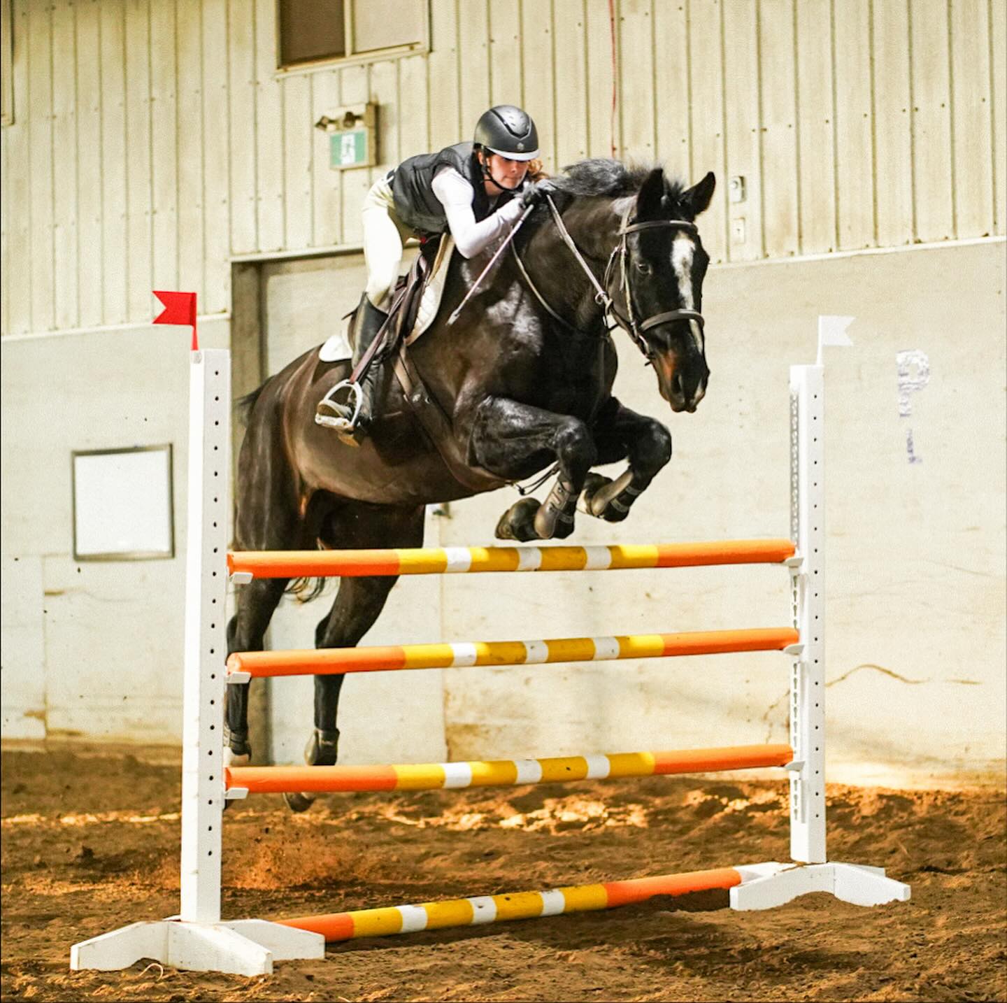 This years Spookfest 3 bar champion finishing off at 1.40m! @isla_eq88 and Jax! Great job! 🎃