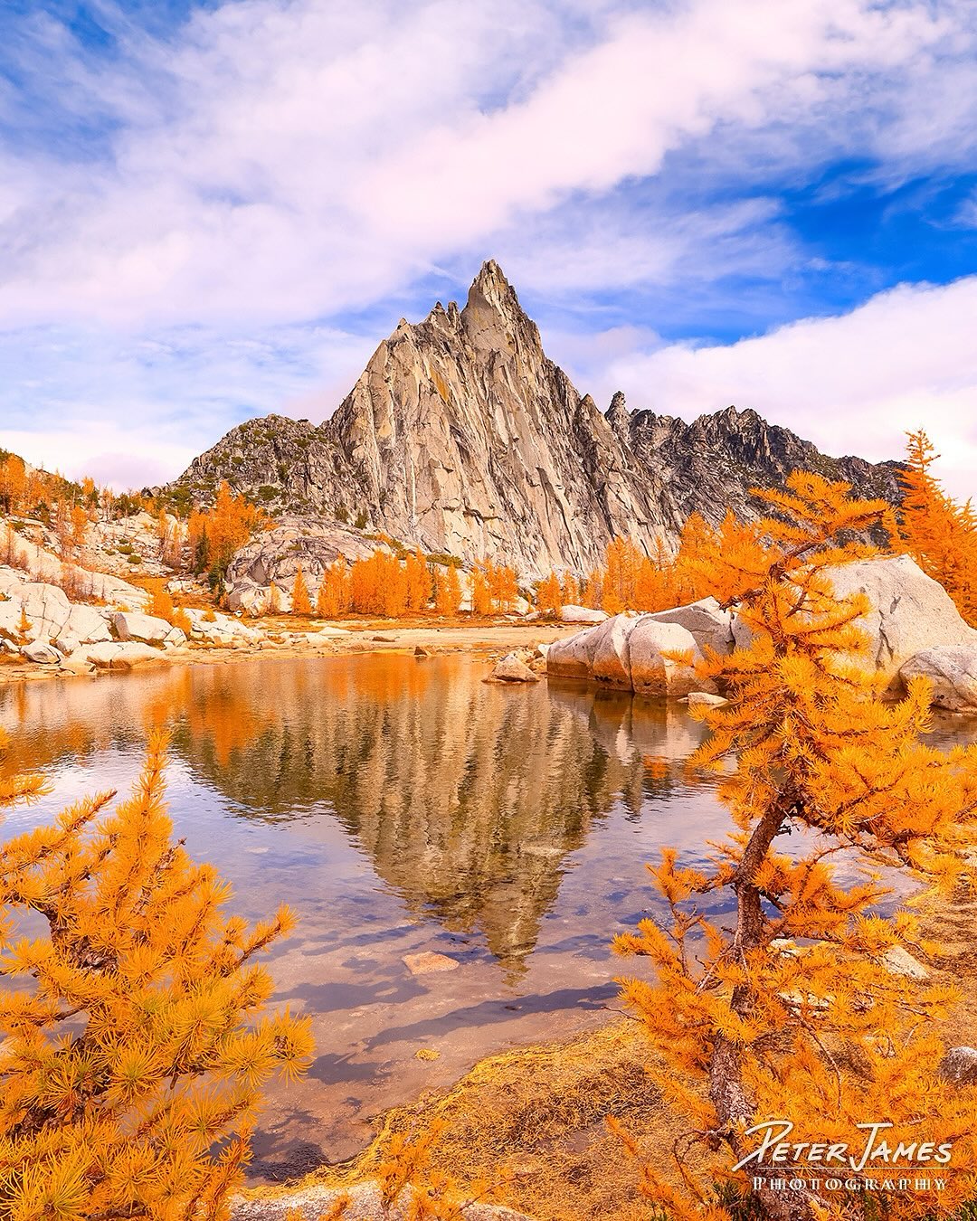Autumn in the Enchantments feels like stepping into a living dream. Golden larches rise tall among granite peaks, their reflections shimmering in lakes so clear they seem to hold another world beneath the surface. Every turn of the trail glows with the quiet fire of fall, every ripple of water catches the light like liquid glass. Here, time slows, and the mountains whisper that change can be beautiful.
What’s your favorite place to watch the seasons shift? 🍂✨
#EnchantmentsWilderness #leavenworth #WashingtonState #PNWParadise #GoldenLarches #AutumnMagic #AlpineLakes #MountainReflections #NatureLovers #WildernessWonder #HikingWashington #ExplorePNW #FallColors #NaturePhotography #MountainLakes #LarchSeason #PacificNorthwest #WanderWashington #PeakSeason #FallInThePNW #PeterJamesPhotoGallery