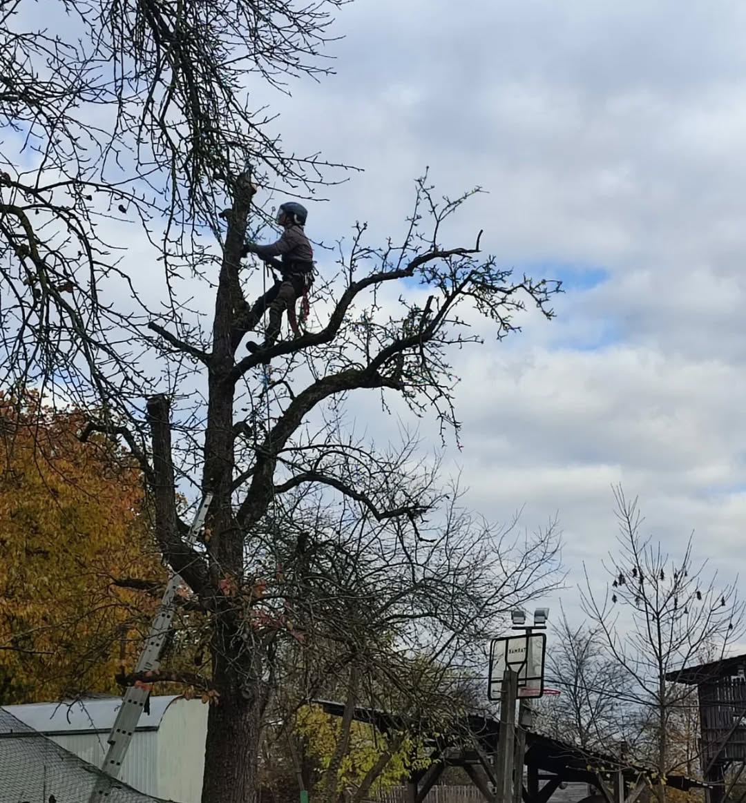 Was für ein Tag! 🍂
Gestern hatten wir unseren letzten Arbeitseinsatz für dieses Jahr und wir sind immer noch geflasht!
So viele tolle Menschen, die mit angepackt haben!
Danke an alle Ehrenamtlichen 💛 Ihr seid der Grund, warum der Abenteuerspielplatz so ein besonderer Ort ist!
#abenteuerspielplatz #stuttgart #vaihingen #arbeitseinsatz #ehrenamt