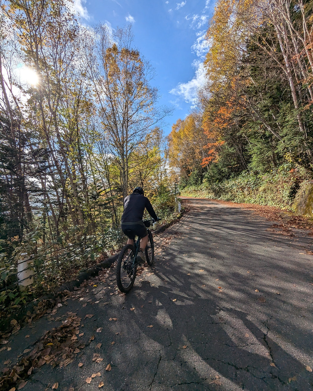乗鞍の「非日常」を走った私が語る!八ヶ岳サイクリングの「もう一つの魅力」とは?
先日、日本のトップ山岳エリア、乗鞍エコーラインを走ってきました!🏔️ 標高2,700mを超える頂での圧倒的な達成感と雄大な景色は、まさに非日常の極み!
この体験を経て、私が普段ご案内している『八ヶ岳サイクリング』の魅力が、さらにクリアに見えてきました。
乗鞍が「アドレナリン」を燃やす体験だとすれば、八ヶ岳は心身を優しく鎮静させる**「心の安らぎ」**です🧘。