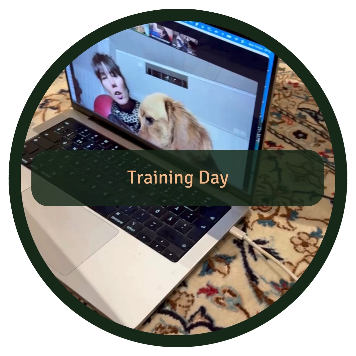 For the past 6 weeks we've been a part of an online training course with @arehundrehab and we had so much fun 💻🐾🎉
Training like this helps dogs stay active in both body and mind, build strength and confidence, and gives us tools to support them in the best possible way. It also strengthens the bond between dog and human.
We got to:
🏋️♀️ Learn new rehab exercises
🧠 Understand the why behind each movement
🐕 Adapt training to our own dog’s needs
...and much more!
Lots of focus, tail wags and proud moments on both sides of the screen.
Check out @arehundrehab to be the first to know the next time this course if offered!