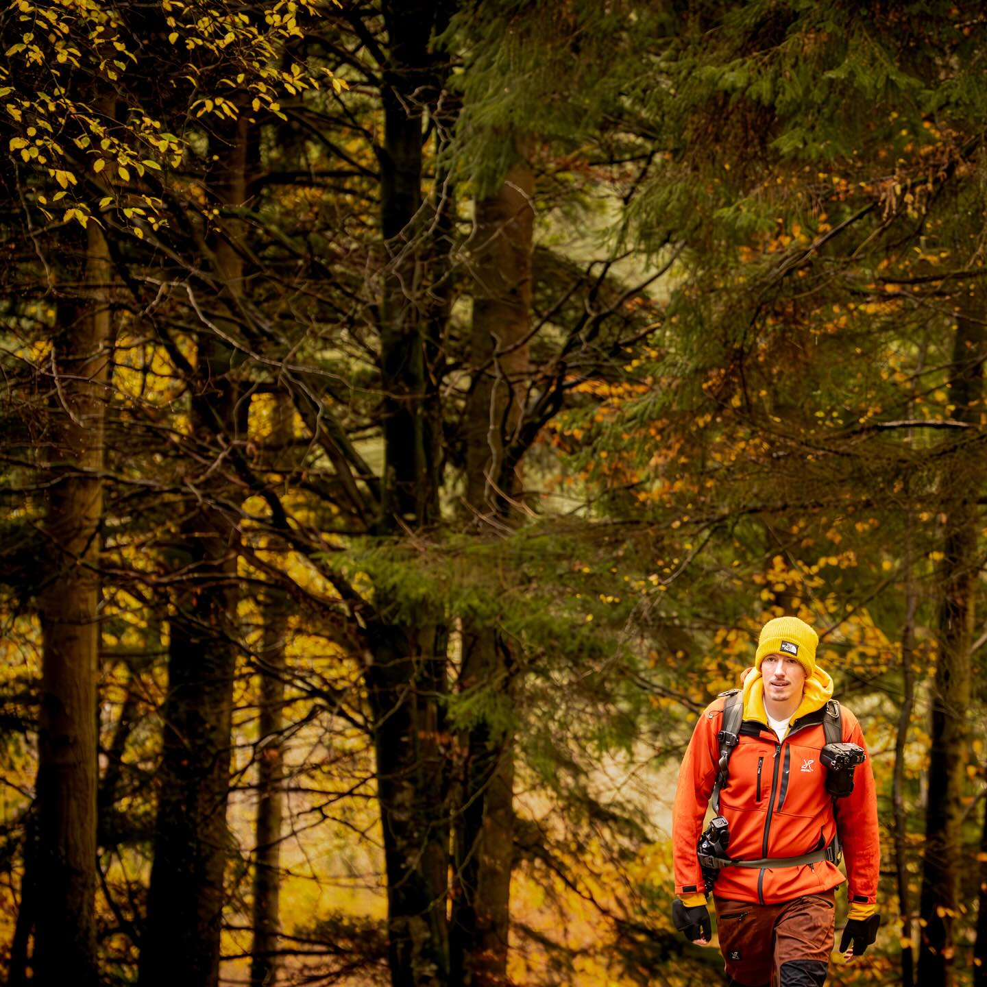 Some weekends are made for scouting locations and what a spot this is .. absolutely magical #woodland_and_water #woodland #scouting #wales #welshadventures #welshadventure #autumn