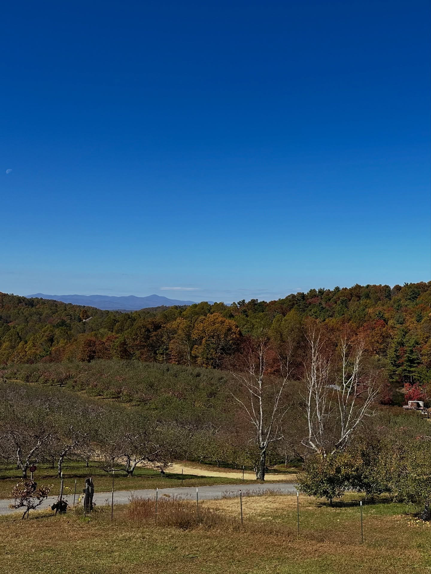 Autumn’s grand finale is calling! 🍂 Head up to Sky Top to soak in the colors, crunch the leaves, and taste every cozy fall favorite before the season slips away!
⏰ Sky Top is open daily 9-5 until November 30th with all of your favorite treats and activities available daily.