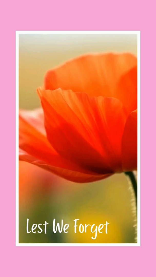 Today we remember the heroes who stood for peace, freedom, and hope❤️
#RemembranceDay #LestWeForget #pureheart