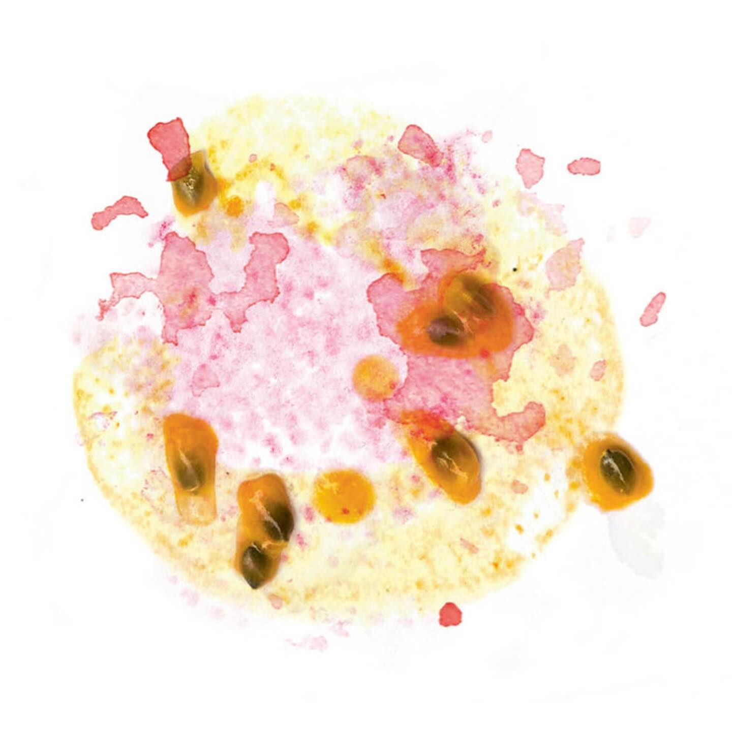 This month’s subscription coffee:
Costa Rica Geisha Volcan Azul
Espresso & Filter Roast
A truly amazing Geisha from Volcan Azul, slightly fermented (3/10), very clean, with delicate fruity and floral notes in the cup.
TASTING NOTES Passionfruit, Apricot, Raspberry
CULTIVAR Geisha
PRODUCER Volcan Azul @volcan.azul
COUNTRY Costa Rica
FERMENTATION LEVEL 3/10
PROCESS Anaerobic Natural
CONTENT 200 gr