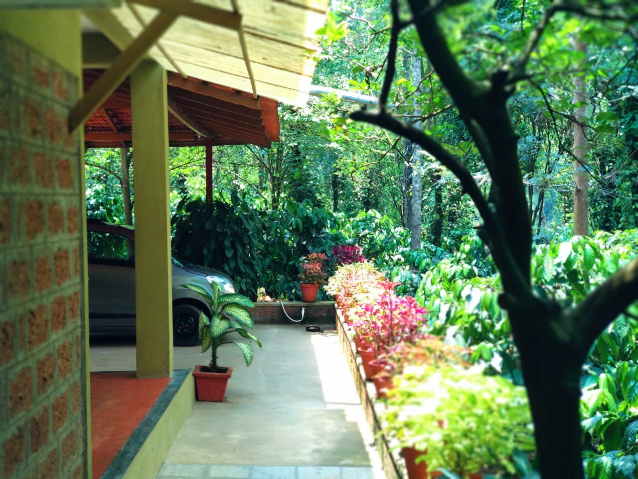 Wake up to misty hills, sip hot filter coffee, and explore private nature trails at Heights Farm Stay โ your cozy retreat near Madikeri. Family-friendly rooms, complimentary breakfast, and guided safaris make every stay unforgettable. Link in bio to book your escape. ๐ฟ๐กโจ
Which spot are you most excited to visit: Dubare Elephant Camp or Golden Temple, Bylakuppe? Tell us below!
#CoorgGetaway #Madikeri #HeightsFarmStay #CoorgDiaries #KarnatakaTravel #NatureRetreat #FamilyEscape #CoffeeCountry