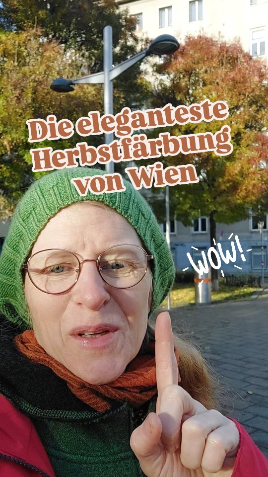 💚💜🧡🤎💛 Jedes Jahr freue ich mich auf die Herbstfärbung der Schmalblättrigen Esche.
Die Färbung ist ganz besonders von 💚💜 zu manchmal 🧡🤎💛.
Die Farbe in Violett ist fast zu übersehen aber sehr elegant und appart.
Ich finde sie so elegant... den ganzen Baum.
In dem Fall ist esdie Sorte 'Raywood'.
Der Baum ist eigentlich nicht oft zu sehen. Aber ich hab so meine Plätze.
😅😅 ich Besuch Bäume wie Freunde!
Schon mal gesehen diese besondere Baum?
💚💜🧡🤎💛
#schmalblättrigeesche #fraxinusangustifolia #fraxinusangustifoliaraywood
#verenas_pflanzentanz #pflanzentanzen #pflanzenbegegnungen #garteninwien #wienerparks #wienergärten #herbstinwien #alsergrund #lazarettgasse #stadtbäume #wienerparks #baumpersönlichkeit #baumschönheit #baumschätze #herbstfärbung #herbstfarben🍁
