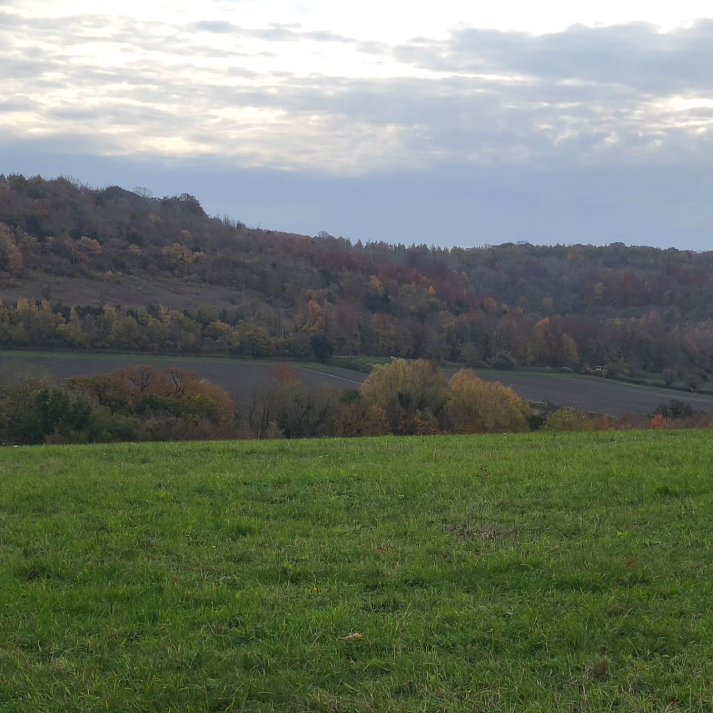 Autumn, my favourite season. Just me and the dog for company, it was such a peaceful walk.