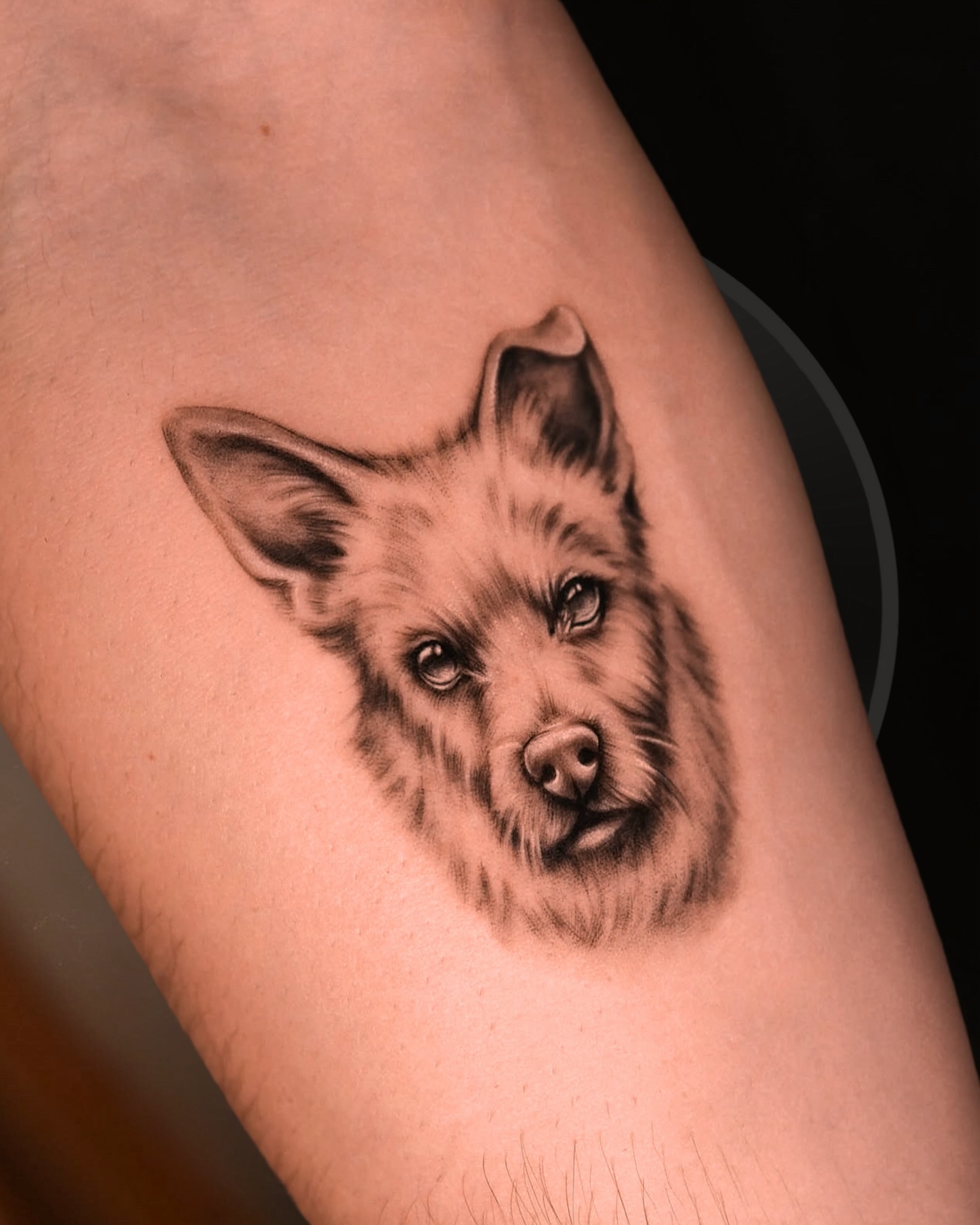 ✨ Chcesz portret swojego pupila?
✨ Chcesz żeby wyglądał jak ze zdjęcia?
Idealnie! @kisielowy_chaos_art jest w tym mistrzem!
Co więcej zwolniły jej się dwa terminy na listopad!
20 i 21 listopada na godzinę 9:30!
Na portrety zwierzaków dajemy 100 zł zniżki!