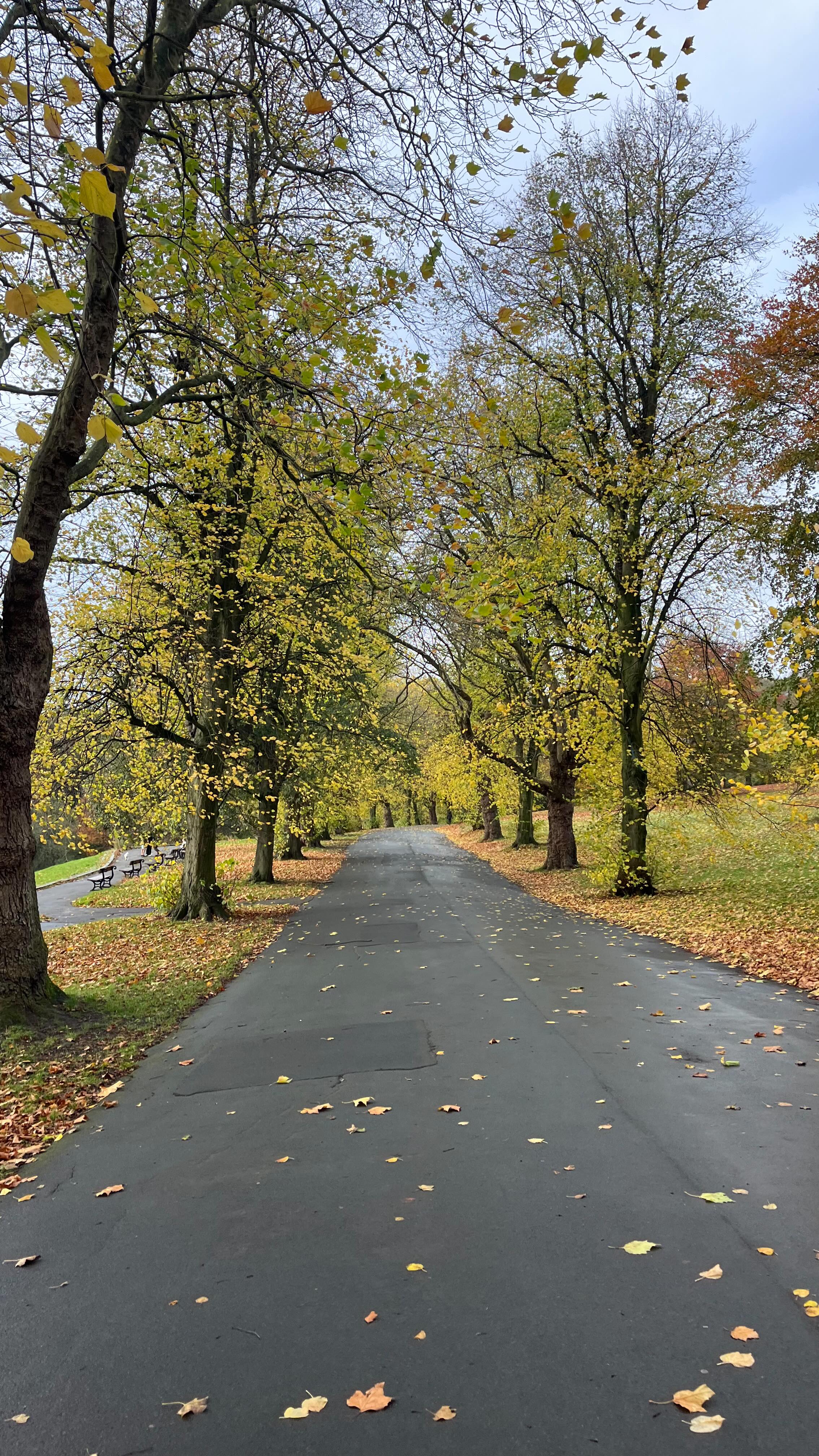 ✨☕️ LADIES, FILL YOUR CUPS ☕️✨
Life is busy! And often we put ourselves at the bottom of the pile.
Save this post ✨ to remind you to take a moment, 5 minutes, an hour - to fill your own cup ☕️
You can only support others, when you yourself are supported ✨
DM MOT - The Women’s Wellness MOT can be the 1 hour you need to fill your cup ✨
Warm wishes, Dr Grace 🍂
#womenshealth #hormones #fillyourcup #wholesome #nourishyourbody #nutrition #nourishyoursoul #womenswellness