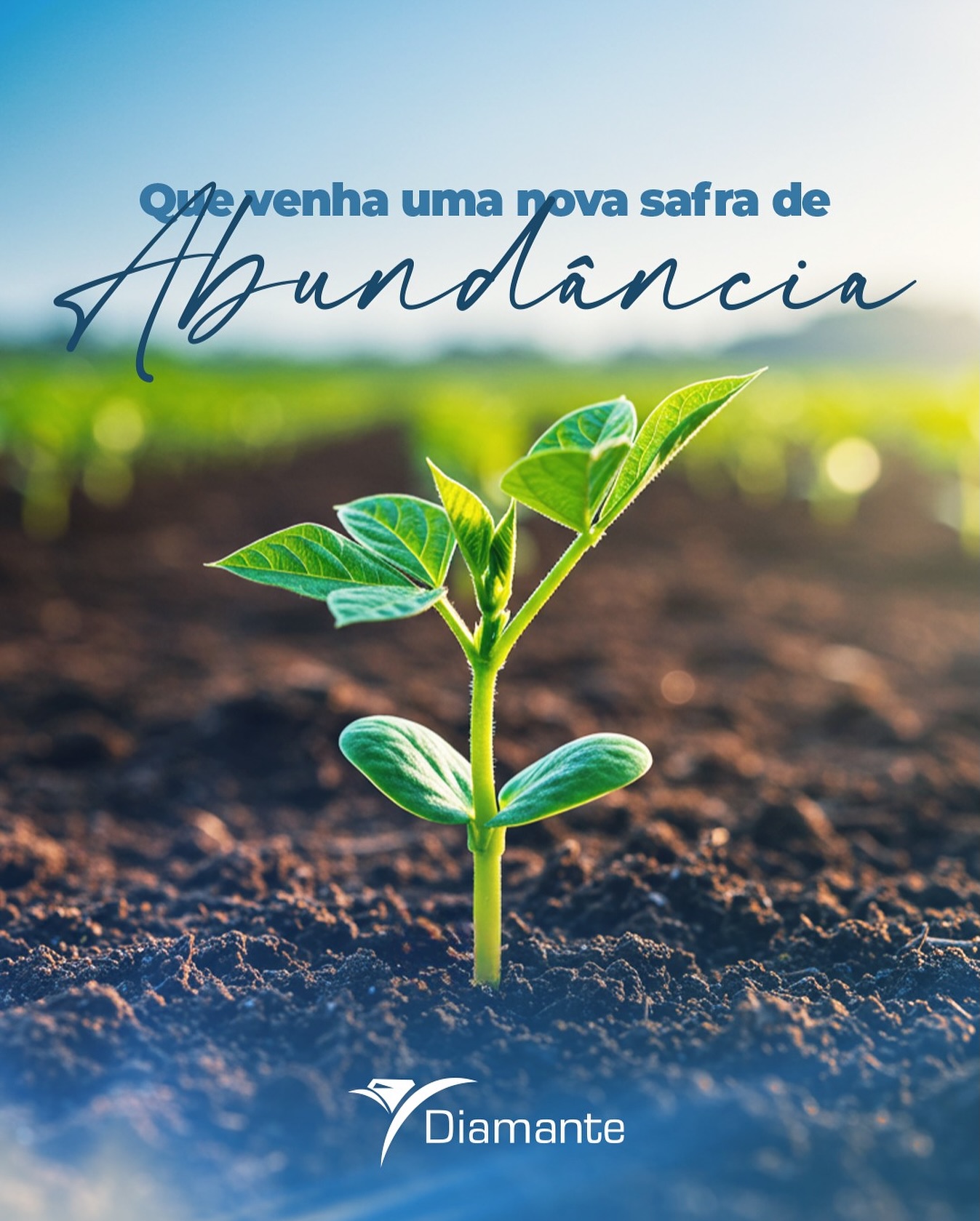 🌱 Cada novo ciclo é uma oportunidade de recomeçar, crescer e colher resultados ainda maiores.
Que venha uma safra de abundância, trabalho e prosperidade! 💚
#DiamanteAgrícola #NovaSafra #Abundância