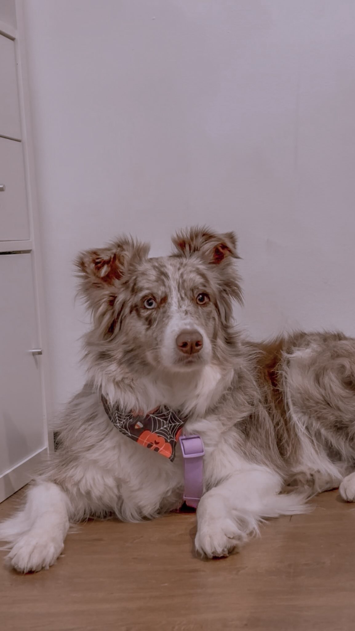 se o feitiço te pegar, vem fazer uma nova tattoo amanhã no evento de Halloween do @zero21porto 🧙♀️ eu vou atender sem necessidade de marcação a partir das 14h!