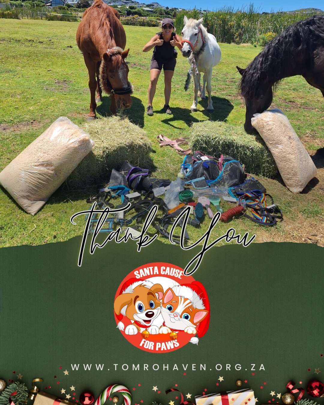 Santa Cause for Paws – Thank You
We are incredibly grateful to the amazing team at @santacauseforpaws and the 19 SA-paw-ters who came together to raise an incredible R4,750 for Tom Ro Haven! 🎁🐾💛
Your support helps us continue rescuing horses, rehabilitating them with love and care, and providing equine-assisted healing to vulnerable children.
Who is Santa Cause for Paws?
Santa Cause for Paws is a registered NPC run entirely by volunteers who collect gifts for shelter animals and support organisations doing outreach work in townships, assisting feral feeders, and helping fosters across South Africa. They dedicate their after-hours time to helping animals in need — and rely on the public to keep this life-changing work going. 🌟
Thank you for choosing Tom Ro Haven as a beneficiary this year. Your generosity means the world to us, and to the horses and young people whose lives you’re helping transform 💙🐴
If you’d like to get involved, you can pledge a box or make a financial contribution to help even more furries in need. Visit wwwsantapaws.co.za