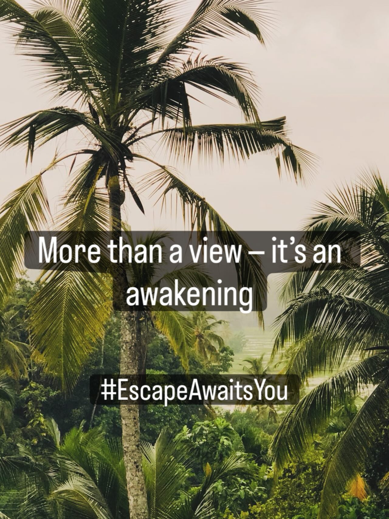 Have you ever heard the sound of serenity ?🌿#relaxation #break #nature #boutiquehotel #southsrilanka #escape #enjoy #beautifull #familytrip #honeymoon #yoga #retreat @dharmayogahouse @greatful_kitchen @vinciane.yoga @mamelie.personal.guidance @yoga_bycecile @georgia.thelifecoach @anushkayogasrilanka