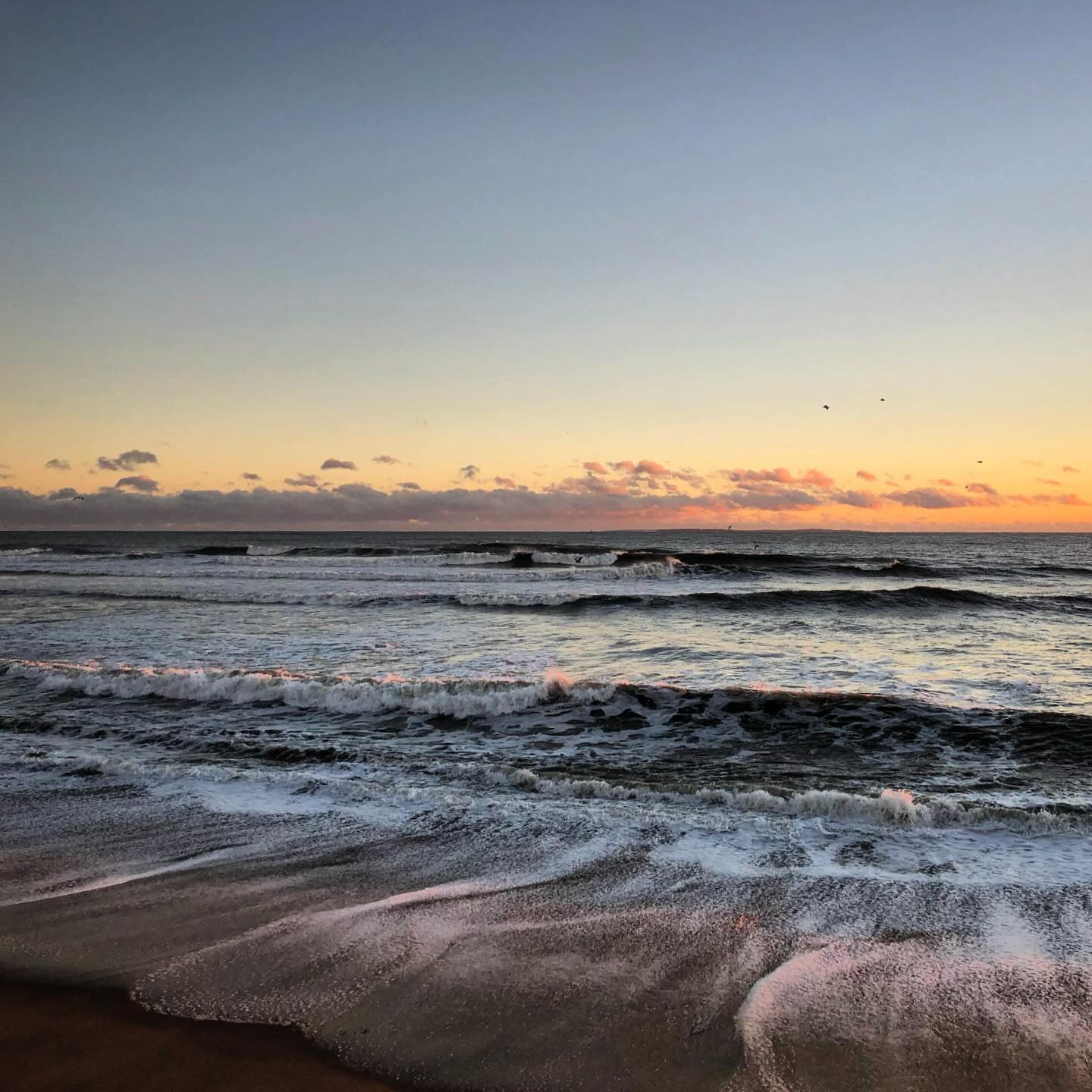 Check out our summer 2026 availability on our website!
.
.
.
#matunuck #rhodeisland #southcountyri #surfmatunuck #beach #ocean #matunuckri