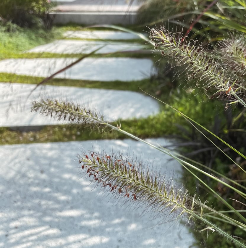 Het najaar is hét moment om in de tuin aan de slag te gaan.
De grond is nog warm, het weer is mild en planten slaan nu het best aan.
Laat je liever die handschoenen in de kast liggen en is jouw tuin toe aan vernieuwing?
Weet dat een goed plan begint met het juiste moment en dat moment is nu. 🌱