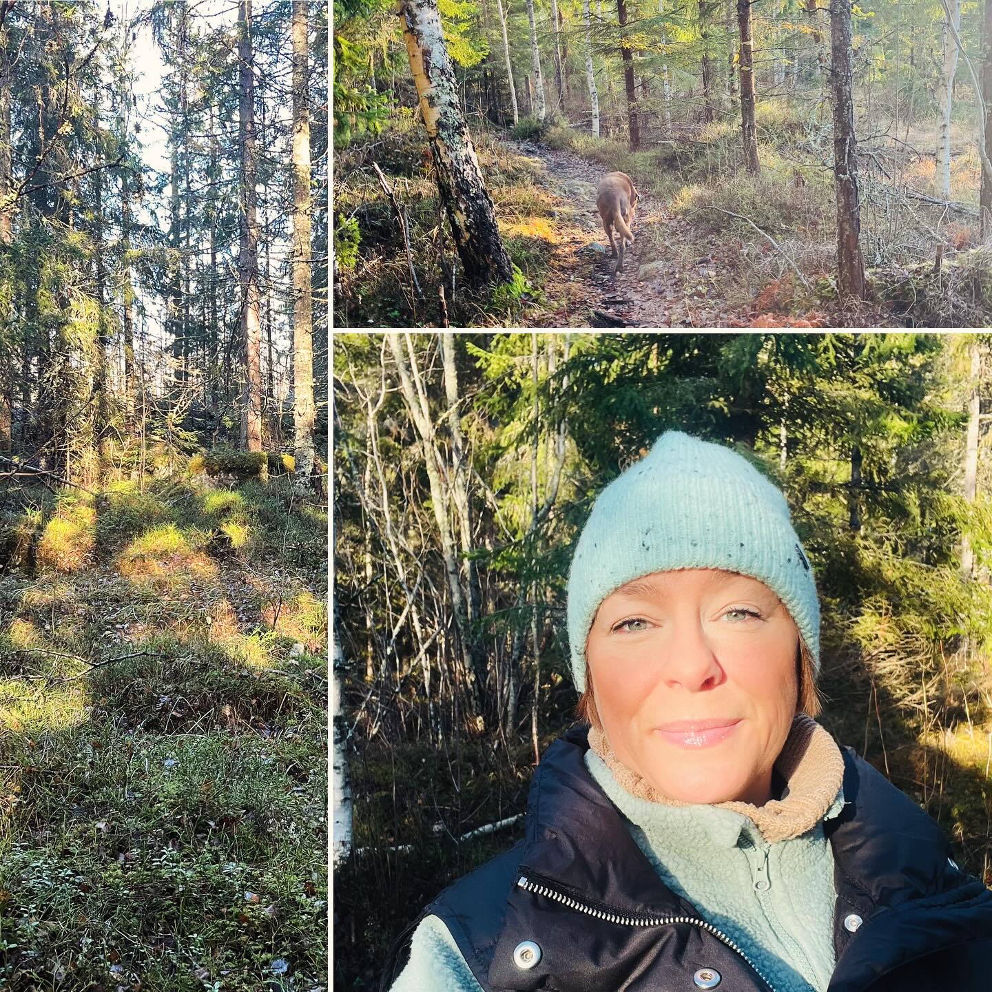 Veckan har bjudit på långa promenader och sol i skogen.
Fina möten. Trassliga relationer. Familjekonflikter. Medberoende.
Par i kris.
Ungdomar med tunga ok att bära.
Och som alltid Yogatorsdag.
Där seniorgruppens slutsats var ”Det här är bästa stunden på hela veckan”
Jag kan bara hålla med 💫
Det är orimligt lyxigt att få ”lalla” runt som jag får göra.
Och idag har jag haft finbesök av @fotografjohannawistrom, tack till dig 🙏🏻
Som tagit nya bilder till hemsidan.
Om det är obekvämt att se sig själv på bild?
Mja, att se hur tiden förändrar ens utsida är kanske inte alltid en överraskning som känns härlig.
Men jag väljer att se det som ett utmärkt tillfälle att träna på acceptans och ödmjukhet.
Och att inte ta mig själv på alltför stort allvar.
Alternativet är bra mycket sämre.
Och med det sagt, så hoppas jag att du får en riktigt käftsmällsbra helg ✨
#samtalsterapisundsvall #läkandesamtalankarsvik #anhörigstödakwarnerud