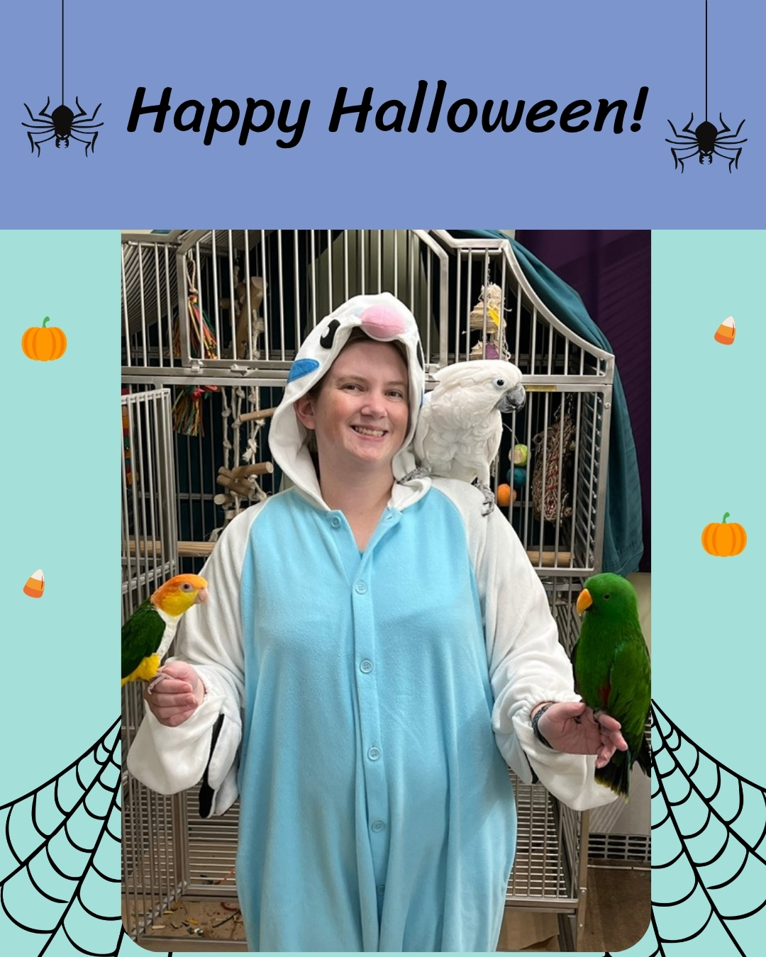 Happy Halloween from us here at Bird Girl Pet Services! Even though I may be working this holiday, I might go out in this budgie onesie... because this parakeet outfit is just too gosh darn cozy! Let me know your costume in the comments!