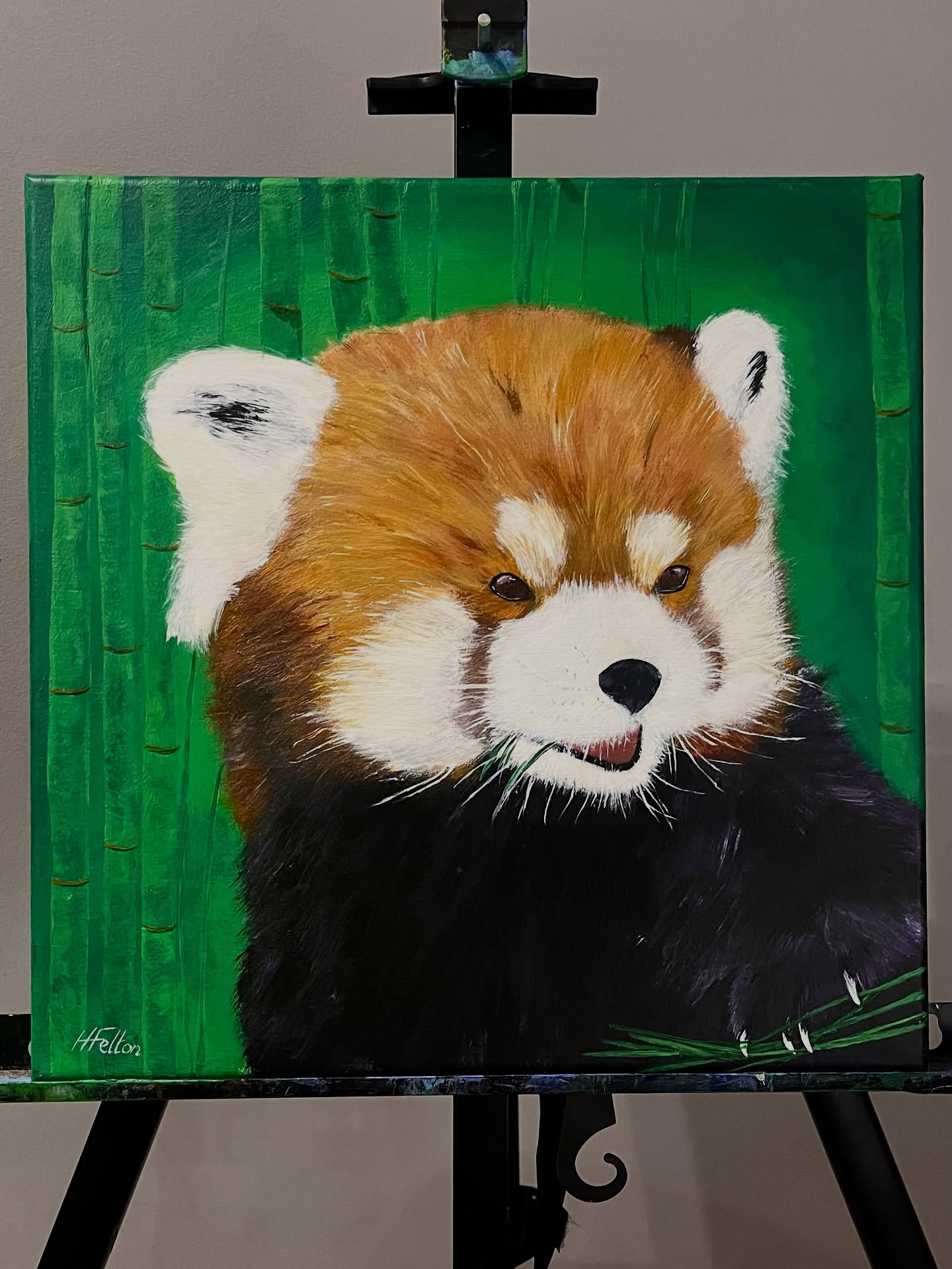 ‘Solitary Bliss’
Look how cute this little Red Panda is munching away on Bamboo! This has been on my list of paintings to complete for soooo long! In fact, I started it back in May putting down the background colour and the base colours for the red panda. I was looking through my works in progress recently (a pile larger than I’d like to admit 🤣) and I couldn’t wait to get this one finished!
#redpanda #bamboo #cute #cuddly #bear #acrylic #painting